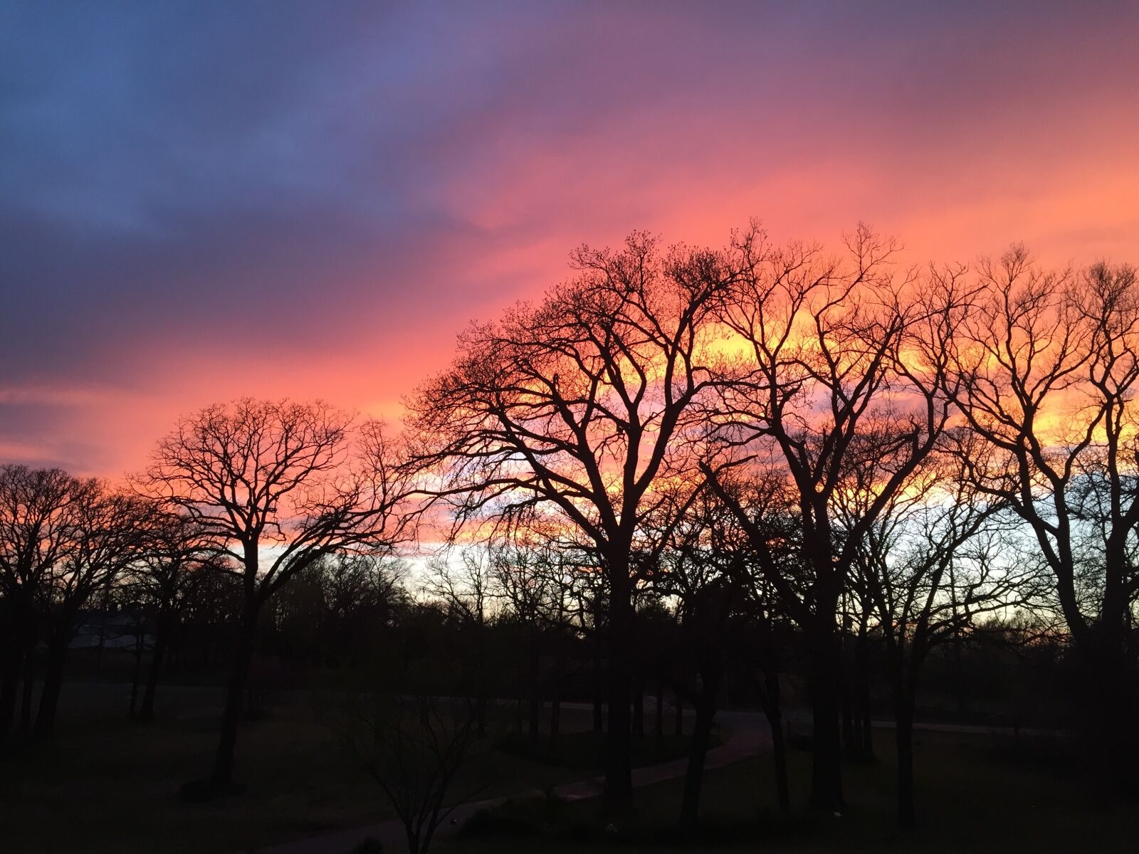 Apple iPhone 6 sample photo. Sunset, orange, sun photography