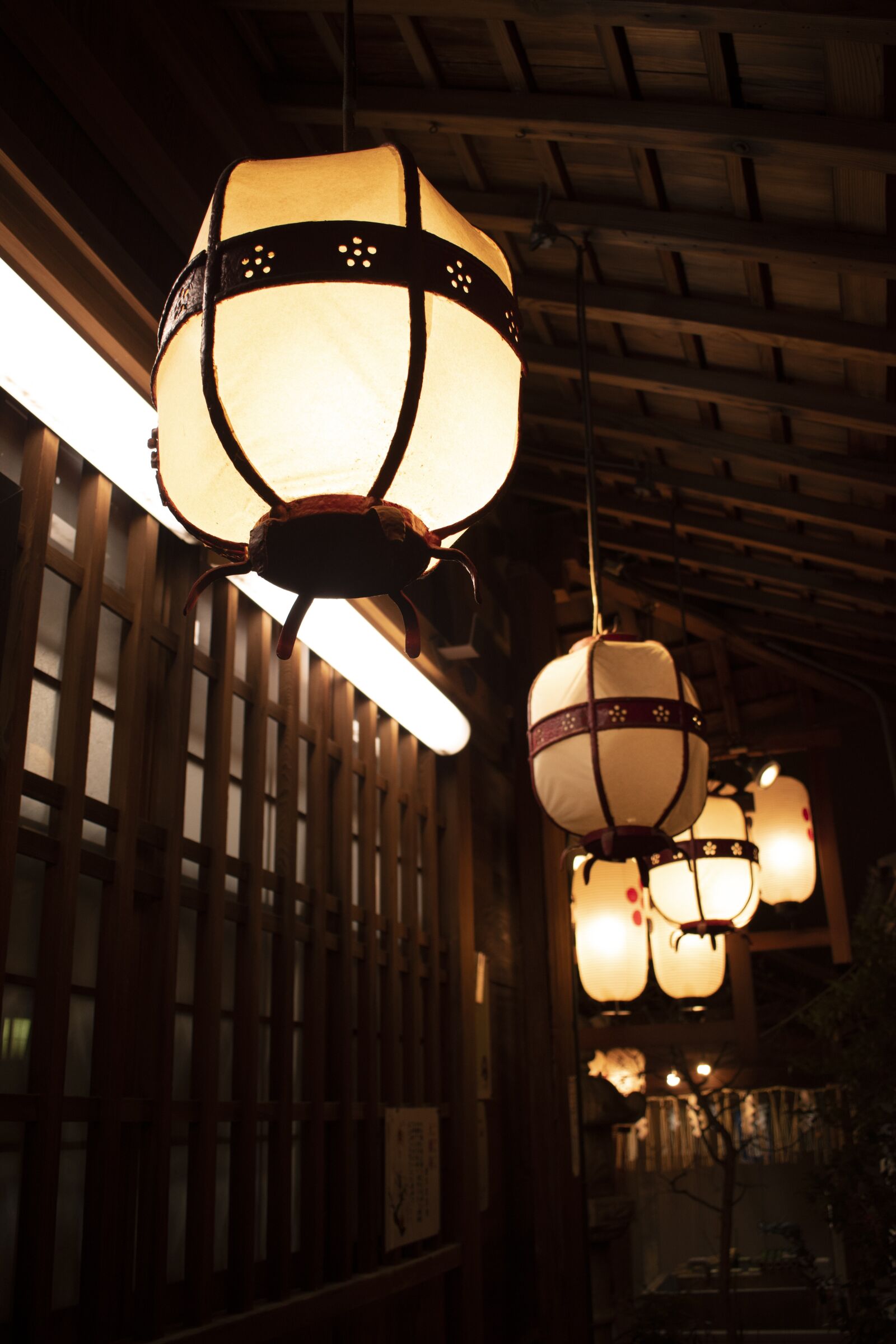 Nikon D5600 sample photo. Kyoto, lantern, temple photography