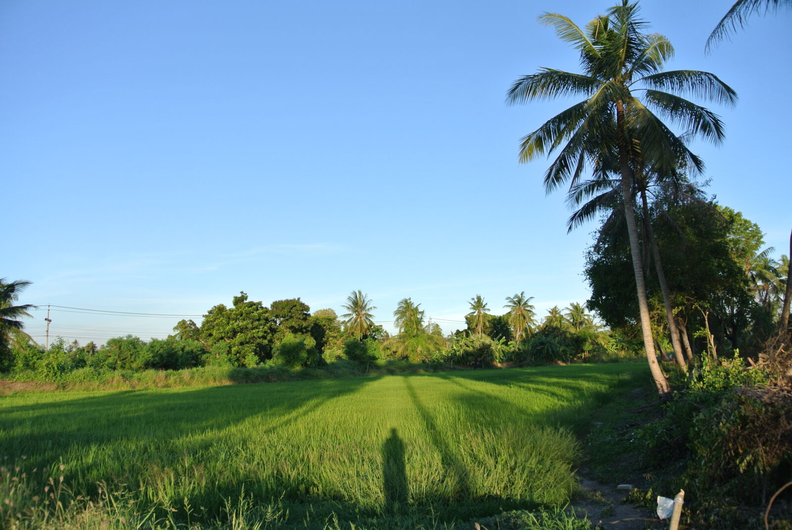 Nikon 1 J1 sample photo. Landscape photography