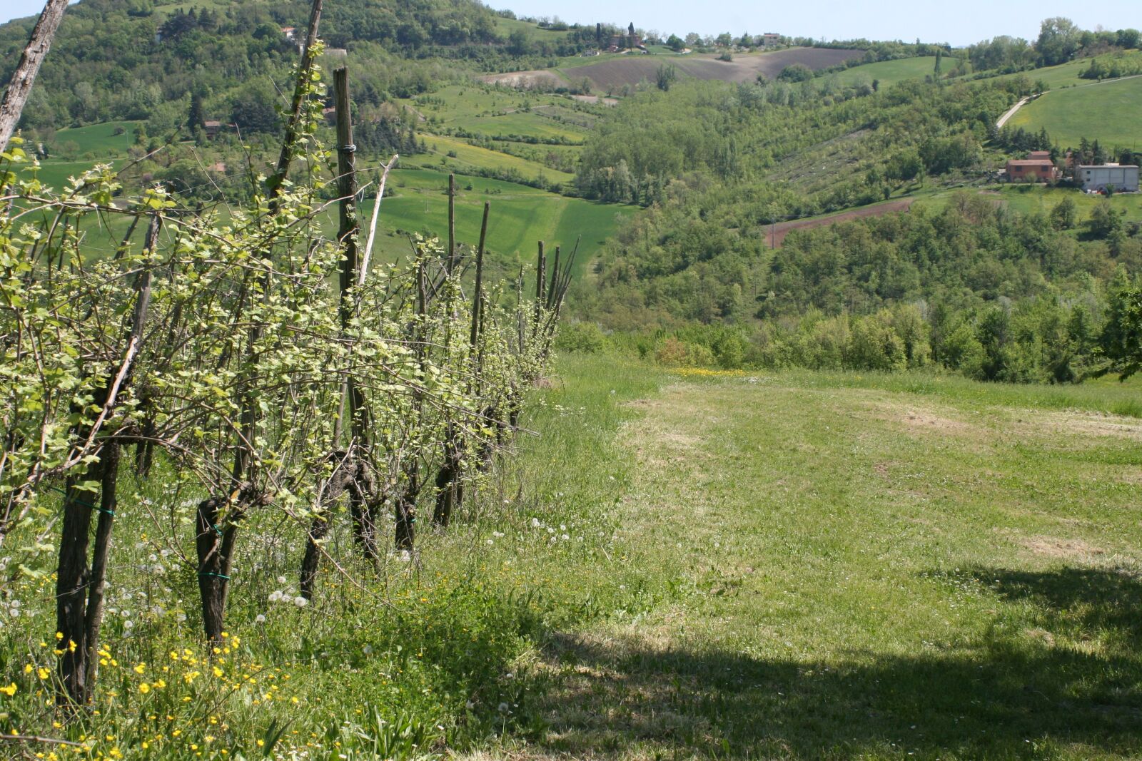 Canon EOS 20D sample photo. Landscape, italy, nature photography