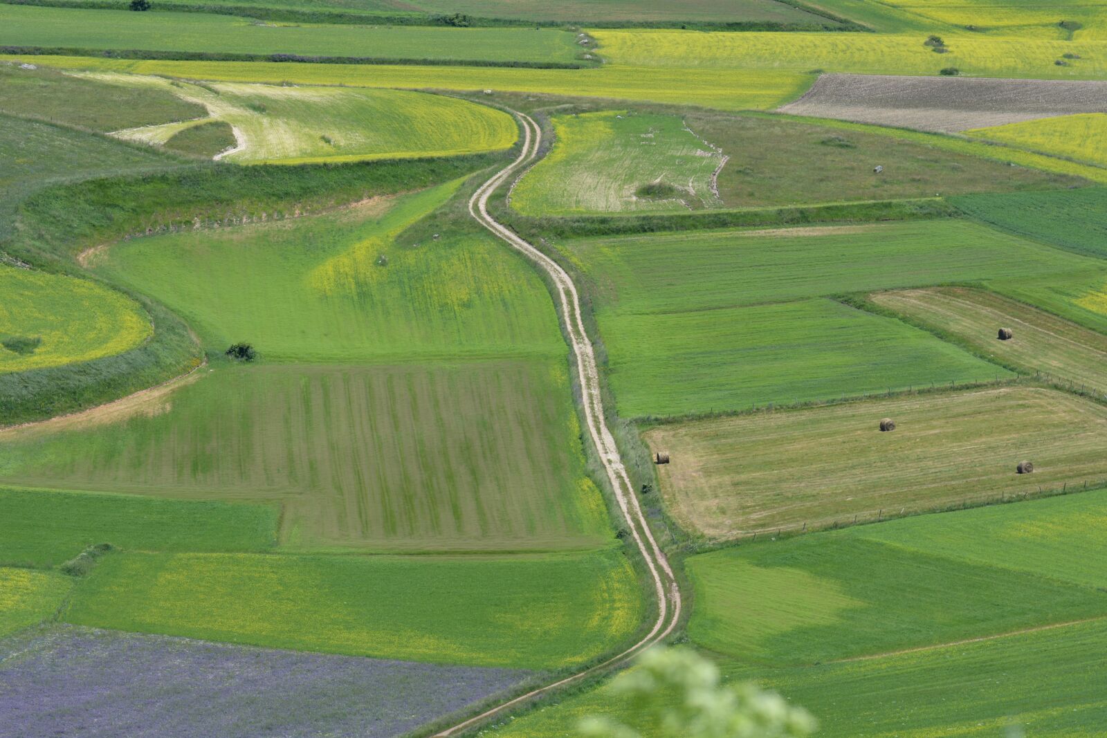 Nikon D7100 sample photo. Nature, road, castelluccio di photography