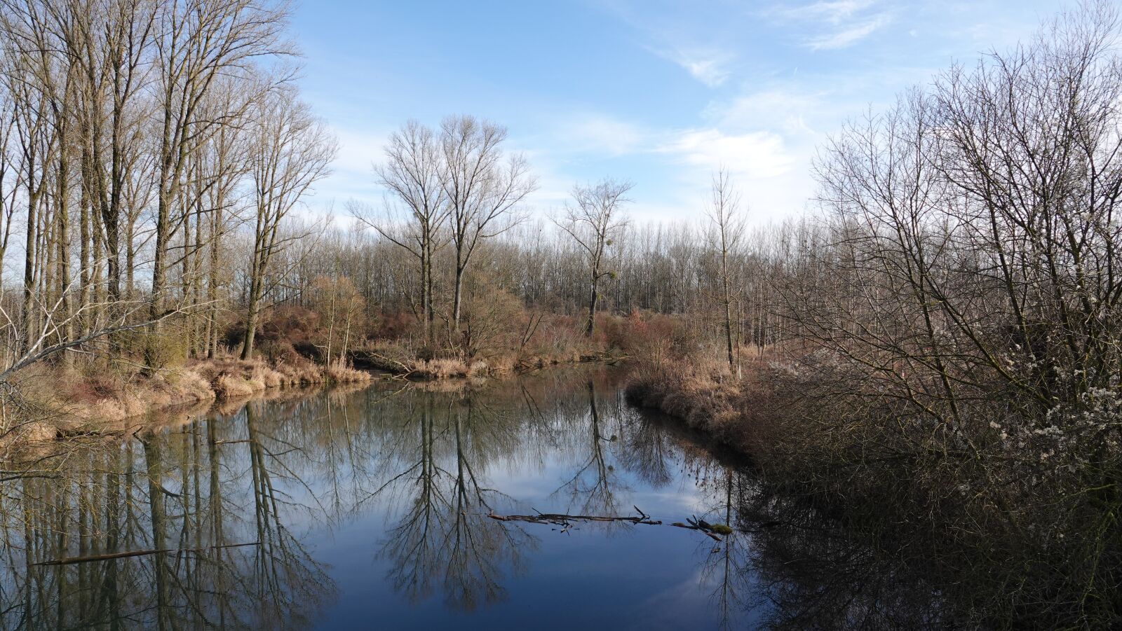 Sony Cyber-shot DSC-RX10 IV sample photo. Hay-field, river landscape, trees photography