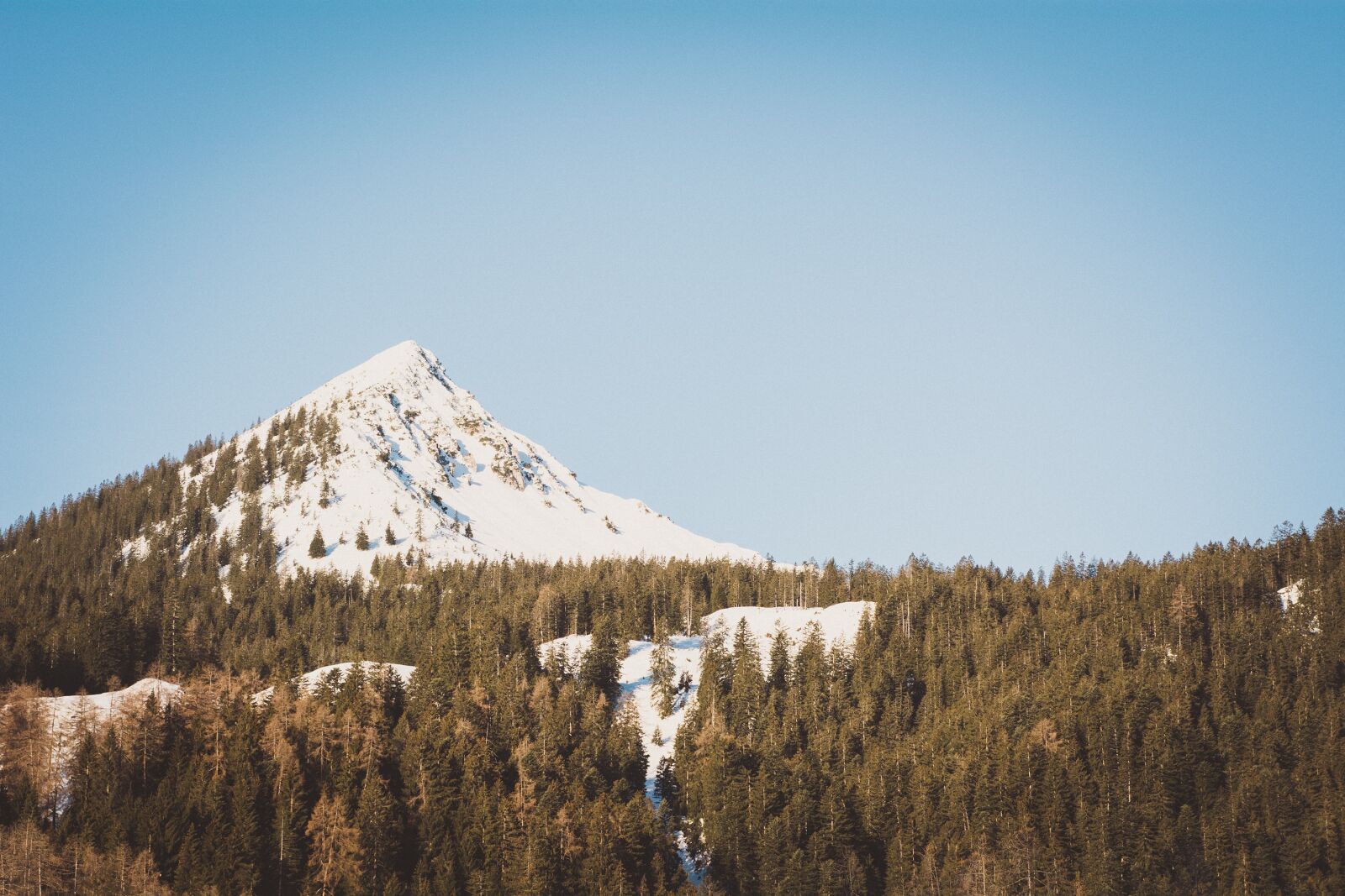 Nikon D7100 sample photo. Landscape, trees, mountain photography