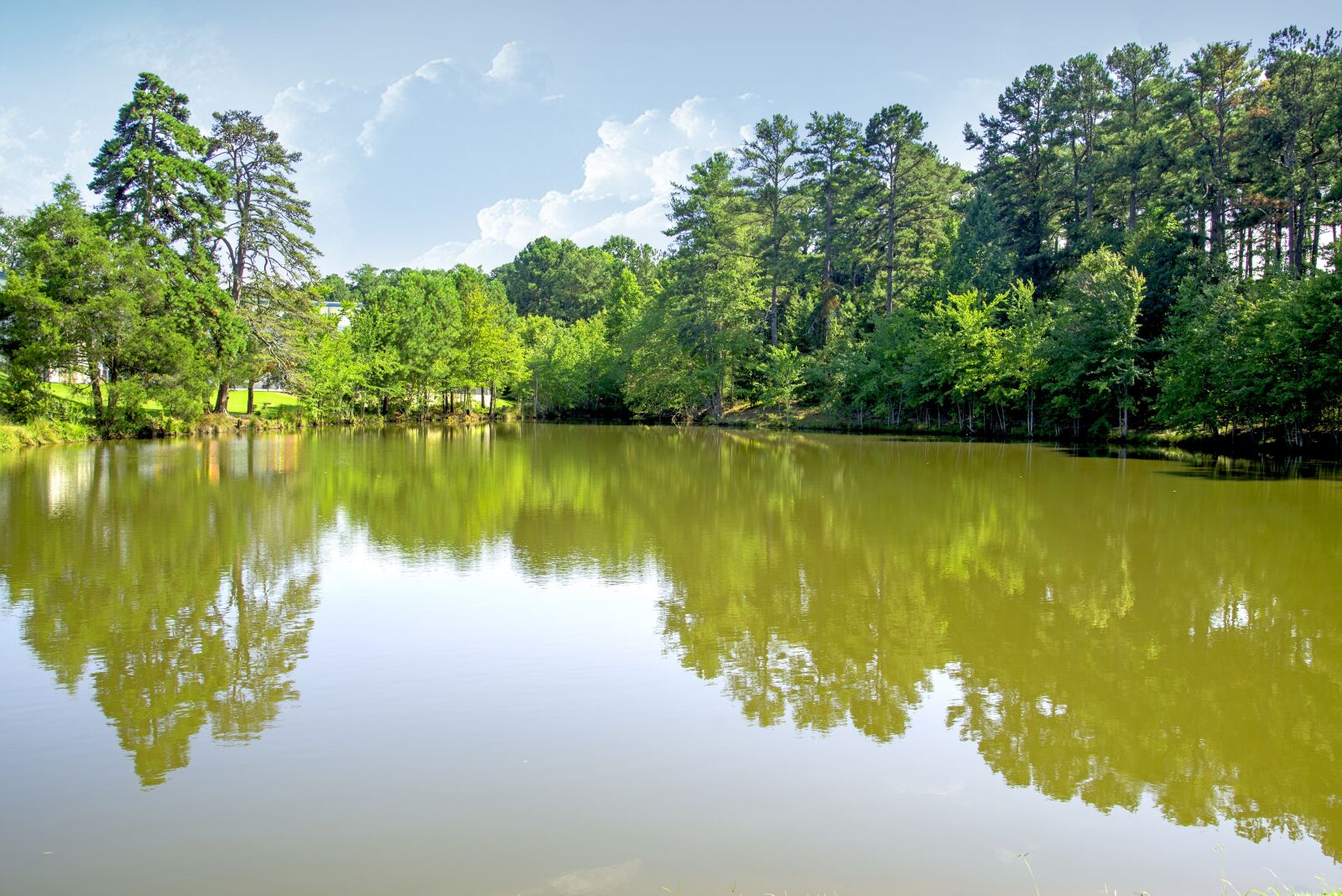 Nikon D610 sample photo. Lake, green, water photography