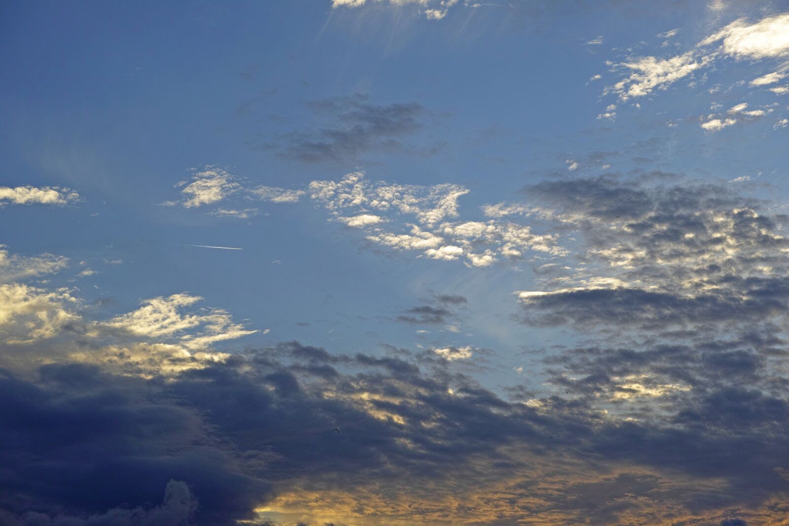 Sigma DP3 Merrill sample photo. Sky, texture, abstract photography