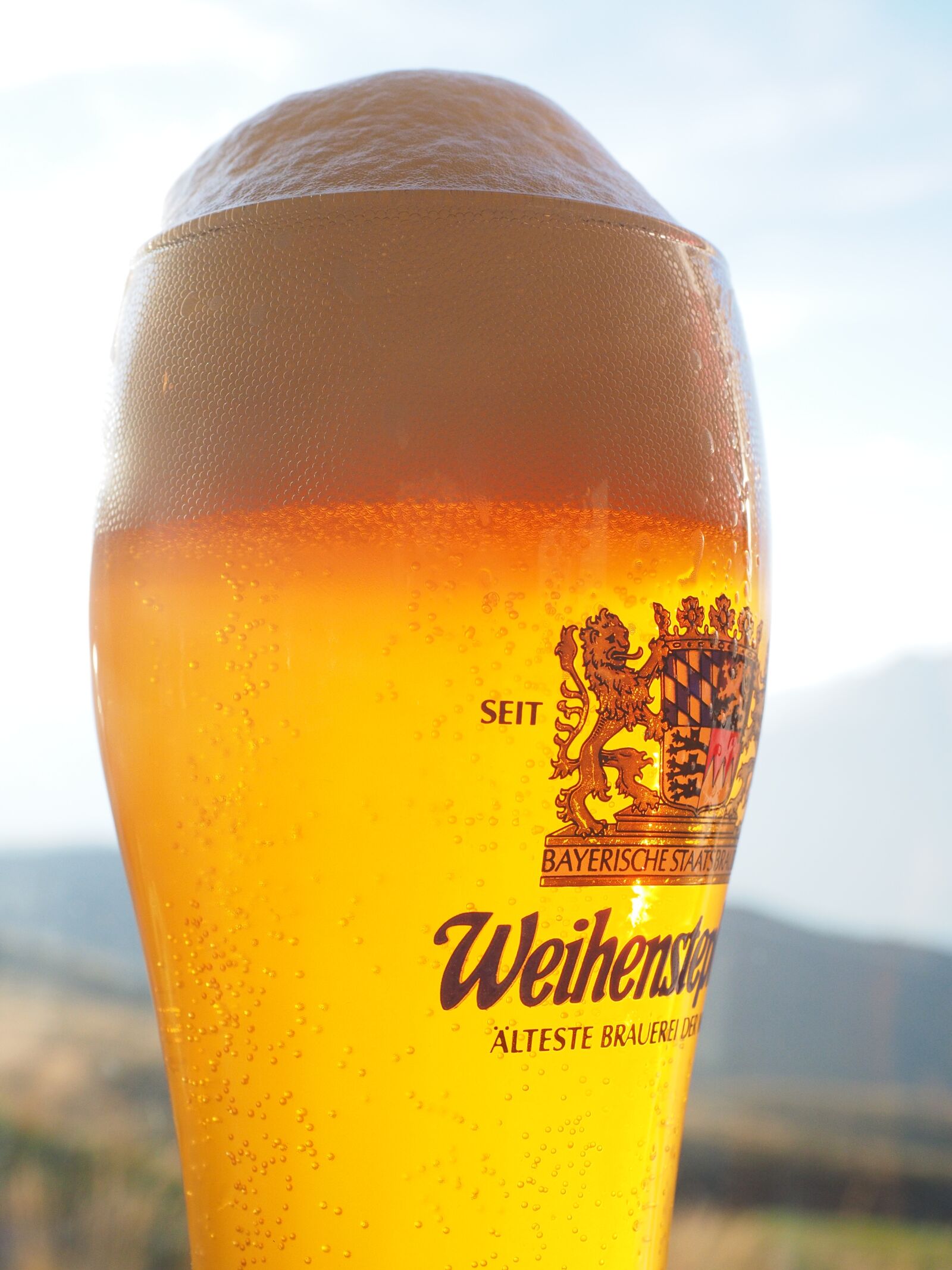 Olympus M.Zuiko Digital ED 12-40mm F2.8 Pro sample photo. Beer foam, head, beer photography