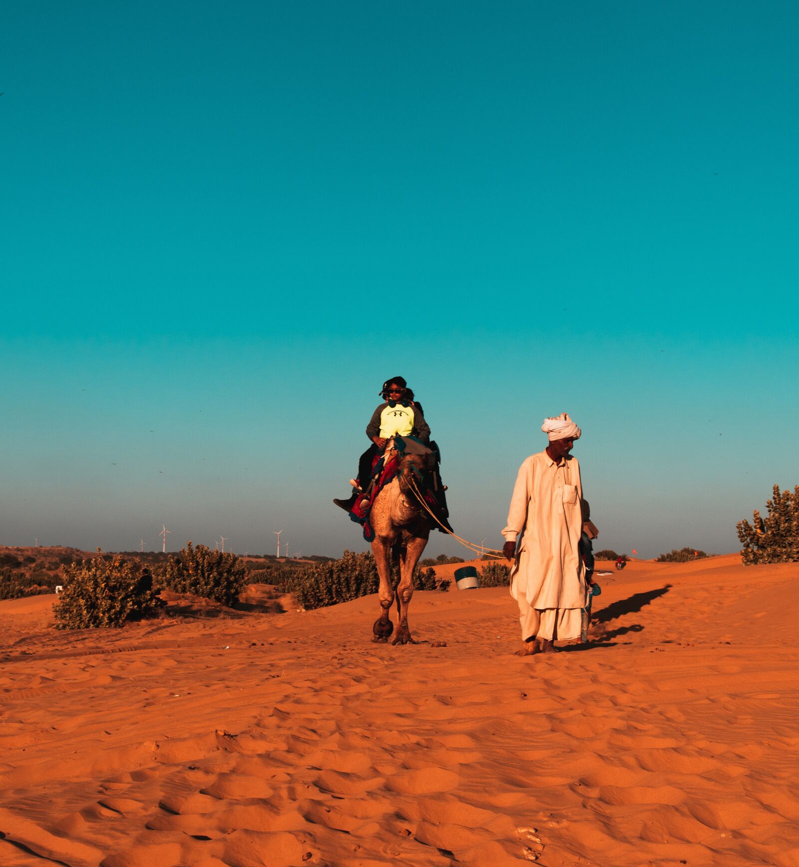 Canon EOS 77D (EOS 9000D / EOS 770D) sample photo. Desert, camel, india photography