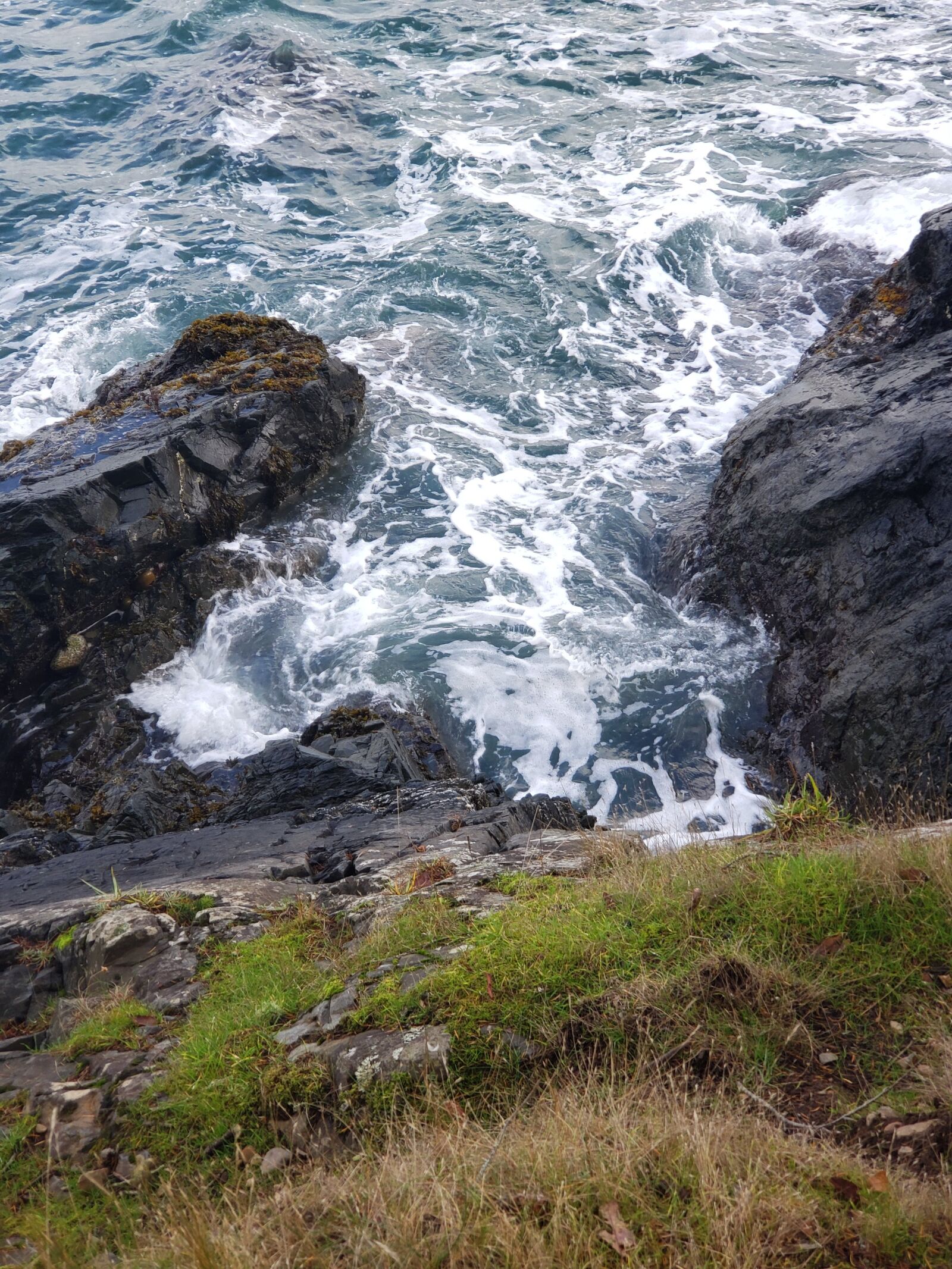 Samsung Galaxy S9+ sample photo. Washington state, deception pass photography