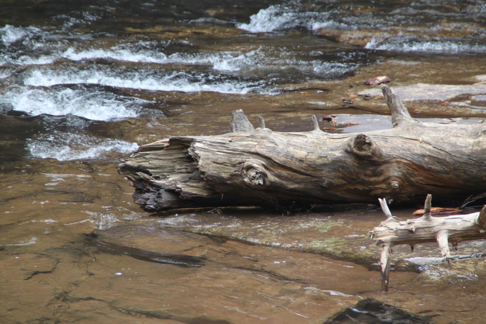 Canon EOS 500D (EOS Rebel T1i / EOS Kiss X3) sample photo. Cascade falls, virginia, fallen photography