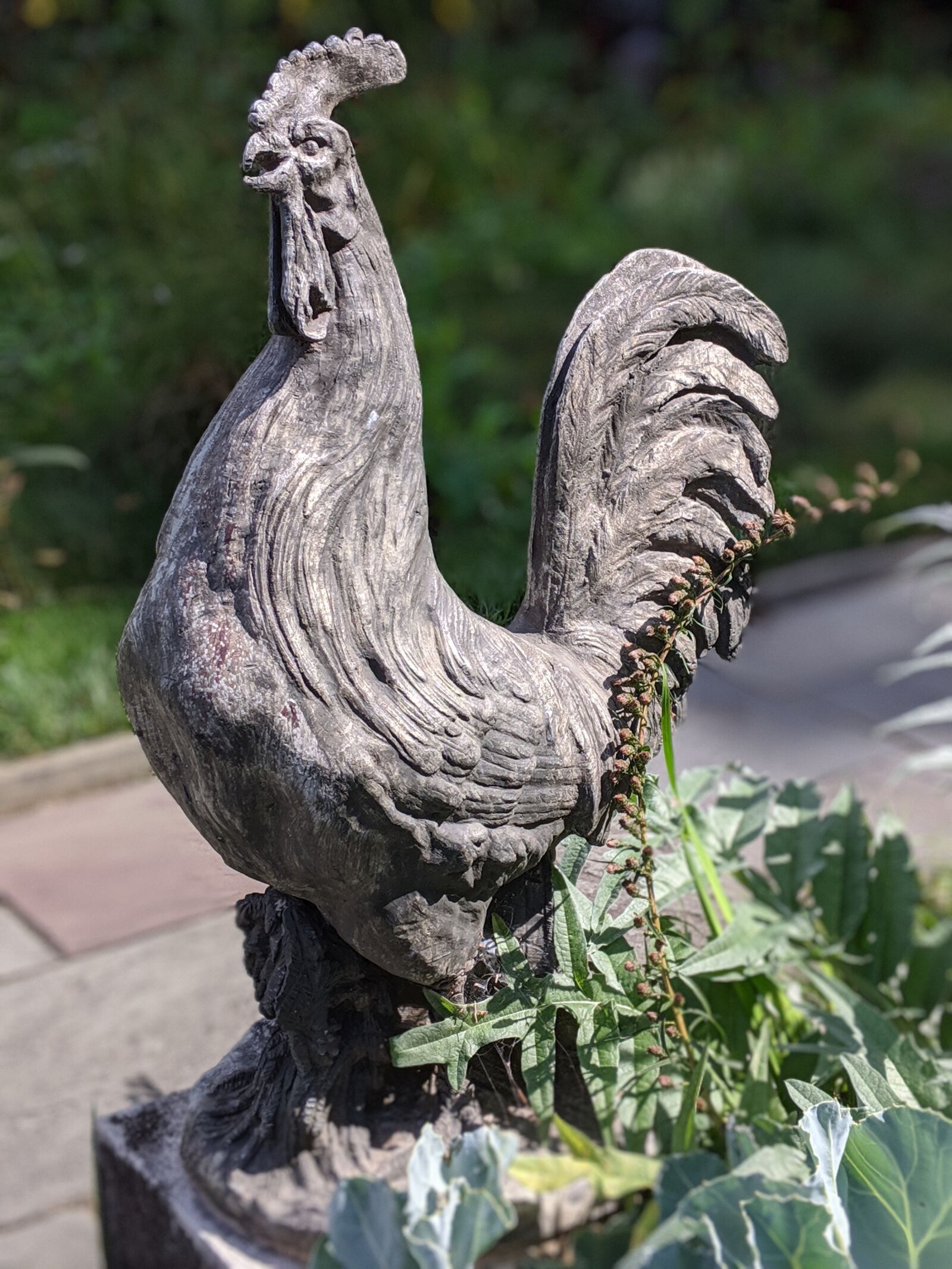 Google Pixel 3a XL sample photo. Rooster, sculpture, stone photography