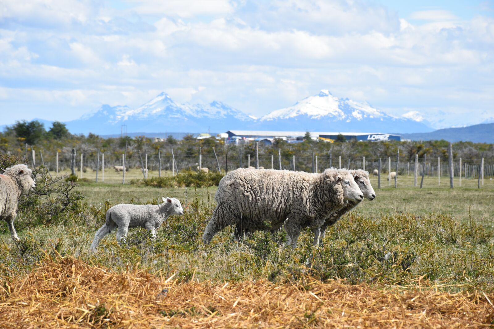 Nikon D5500 sample photo. Patagonia, mountains, landscape photography