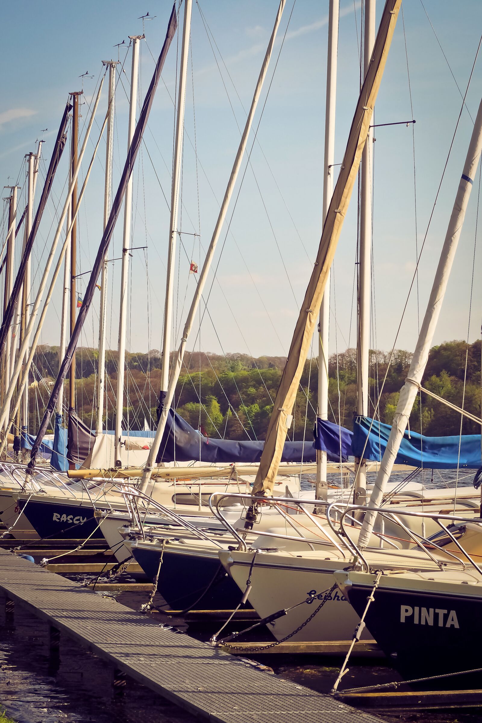 Olympus OM-D E-M10 sample photo. Sailing boats, web, yacht photography