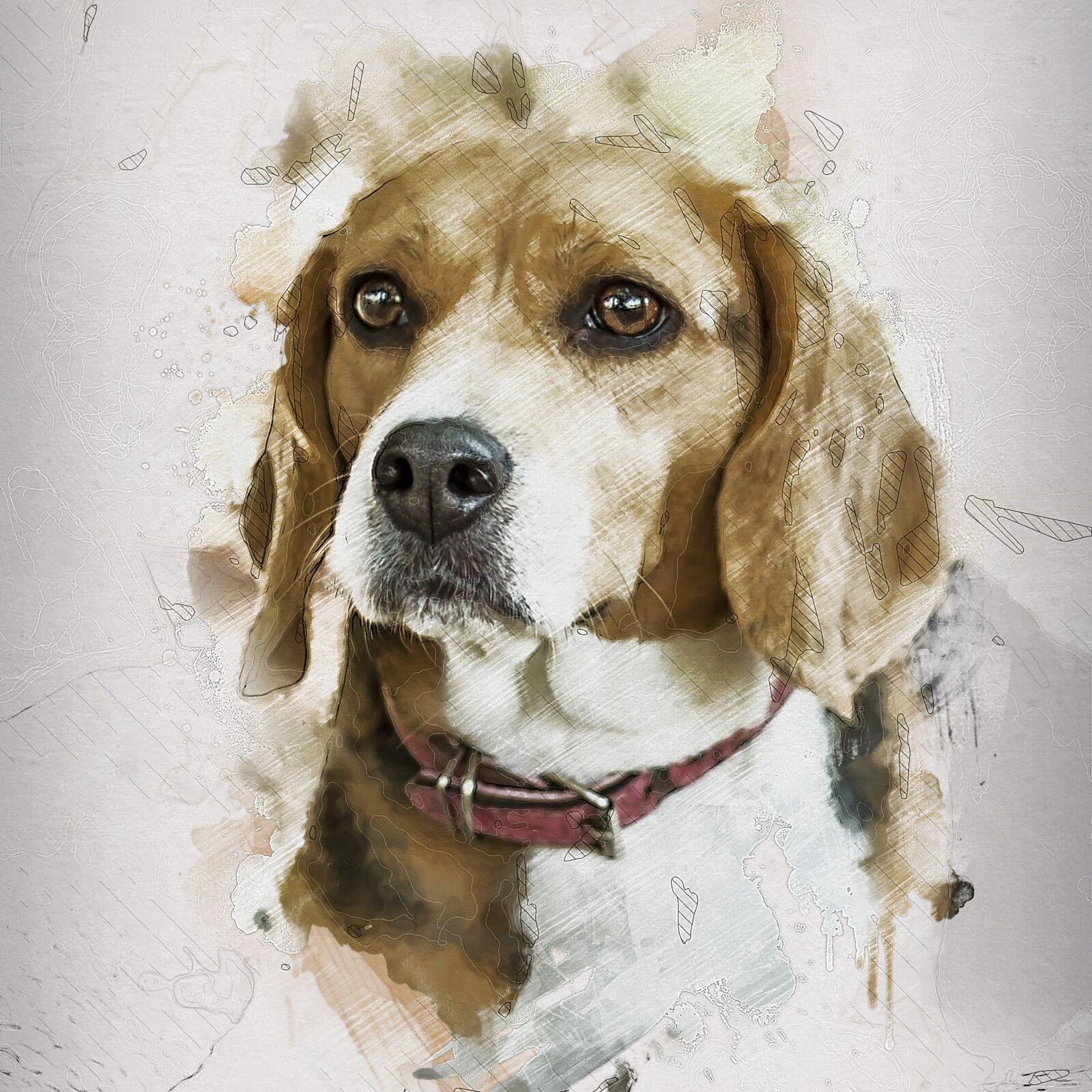 Canon EF 50mm F1.8 STM sample photo. Dog, pregnant, canine photography