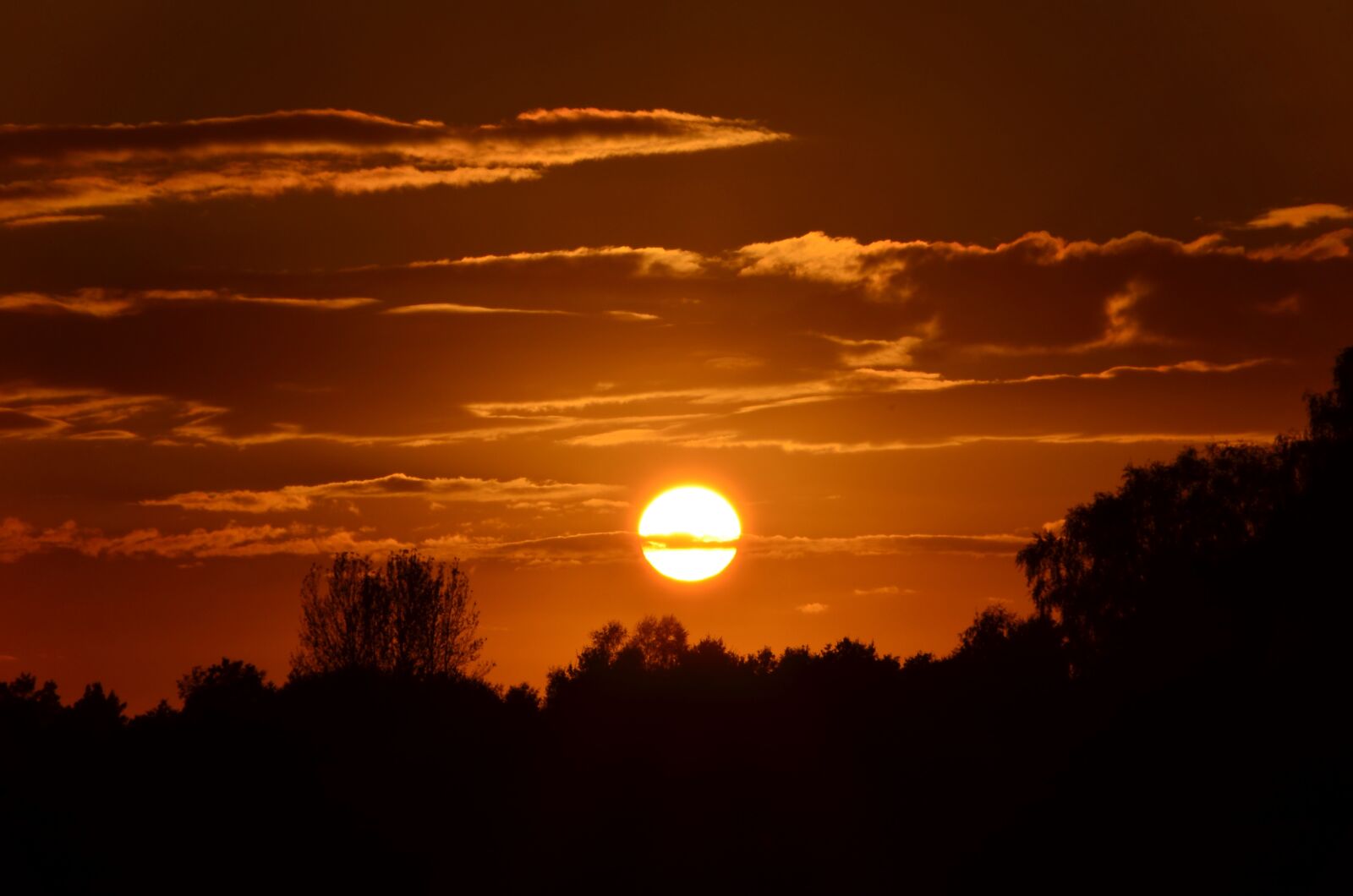 Nikon D5100 sample photo. Sunset, sun, silhouette photography