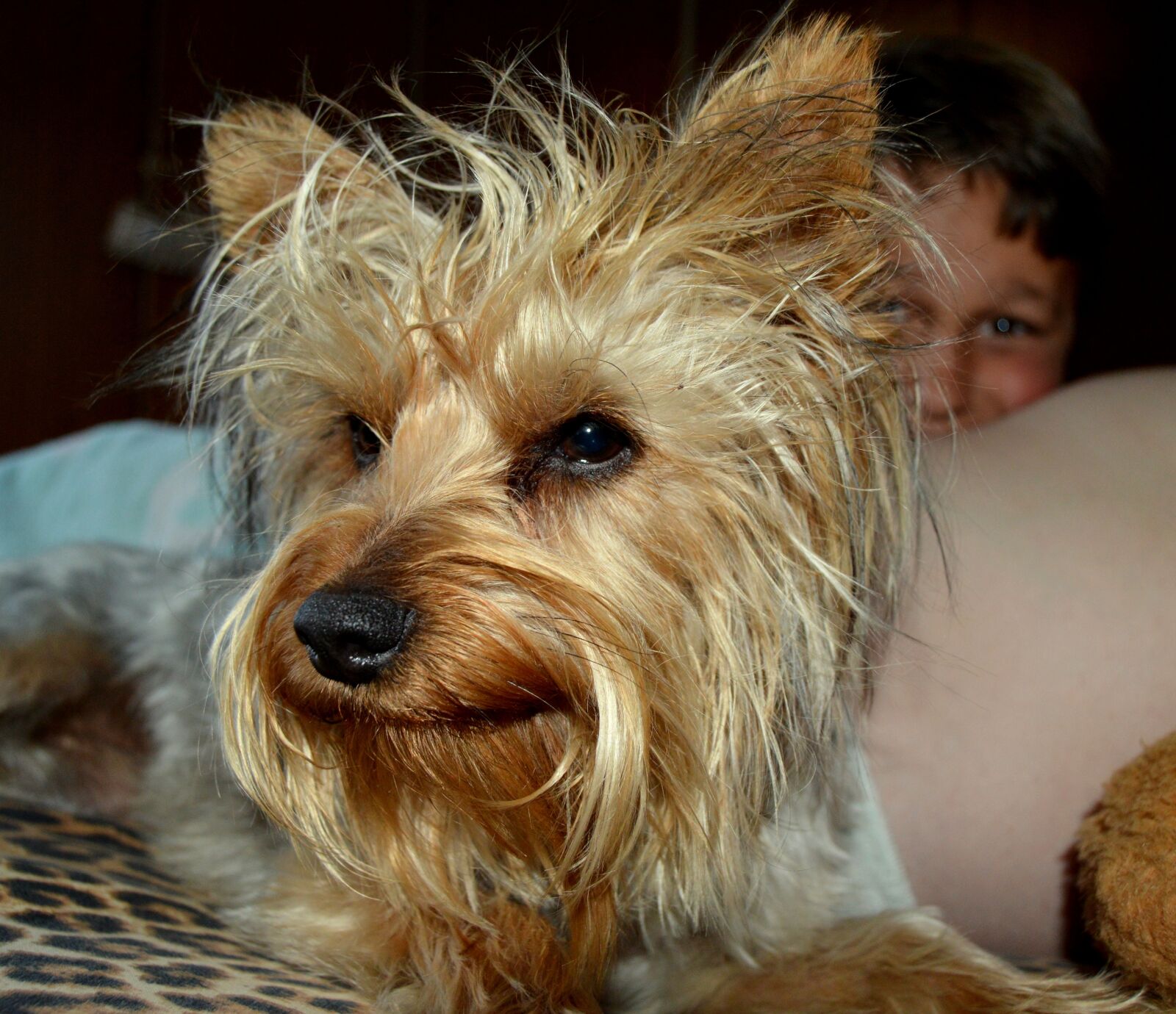 Nikon D3200 sample photo. Dog, pet, animal photography