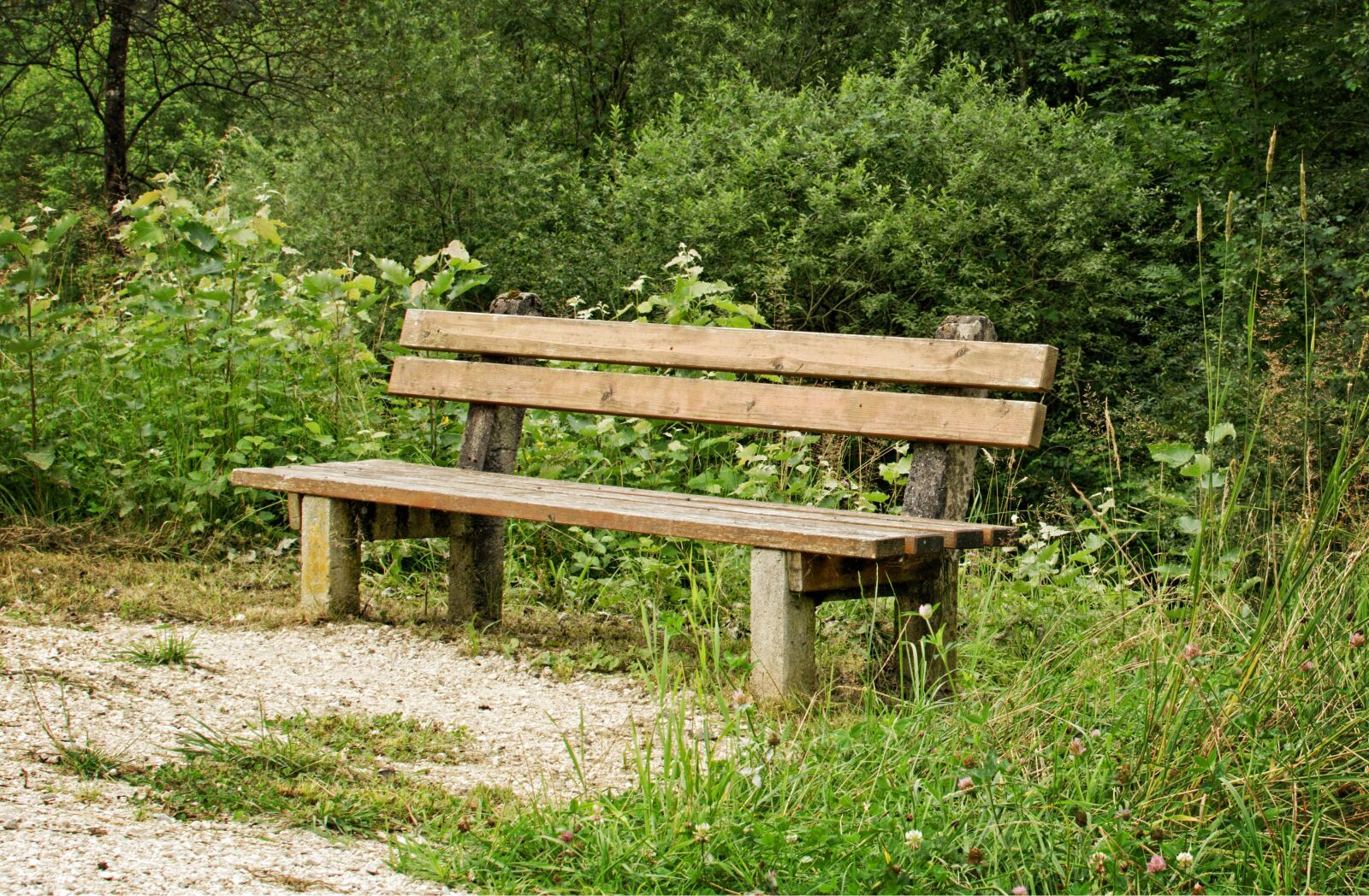 Nikon D7100 sample photo. Bench, sit, bank photography