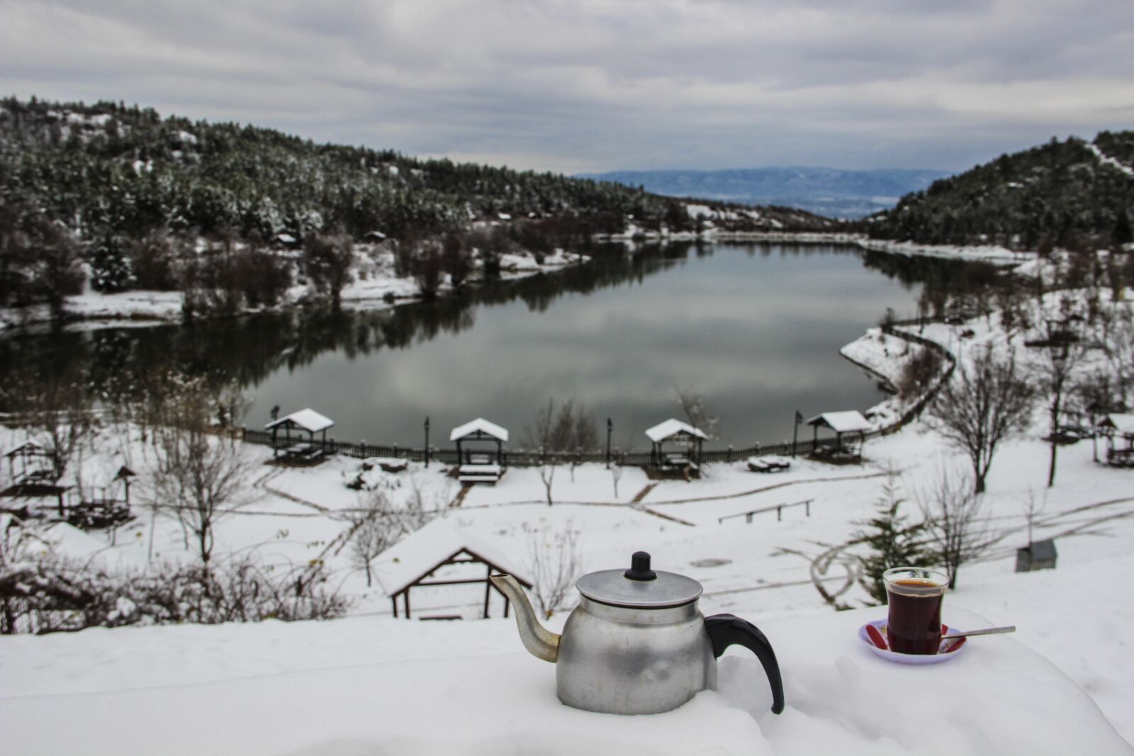 Canon EOS 600D (Rebel EOS T3i / EOS Kiss X5) sample photo. Nature, winter, cold photography