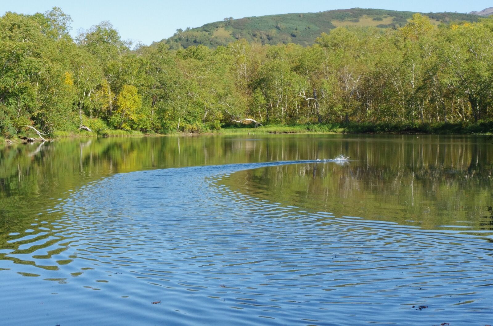 Pentax K-5 sample photo. Forest lake, mountains, forest photography