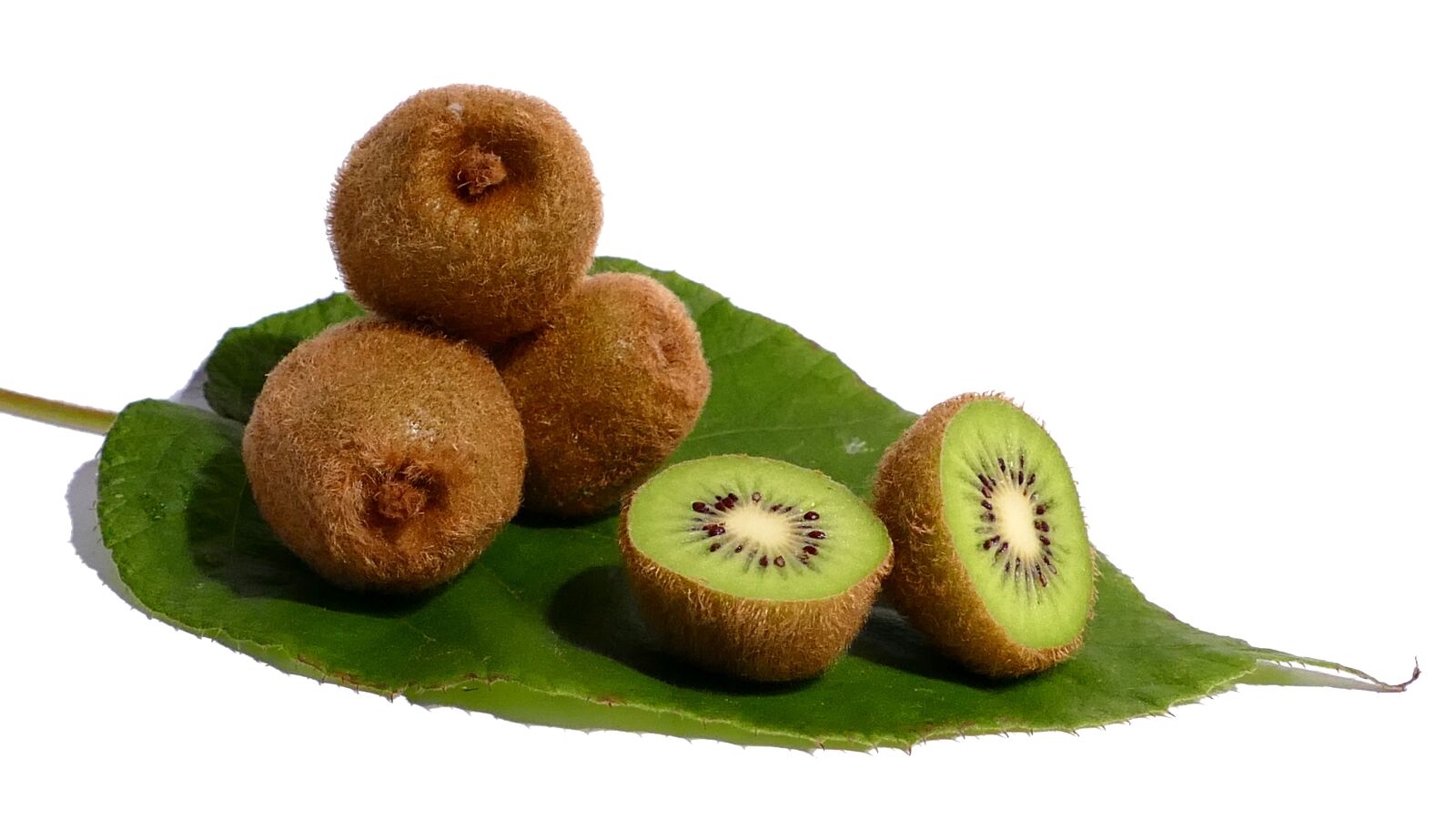 Panasonic Lumix DMC-FZ1000 sample photo. Kiwi, fruit, green photography