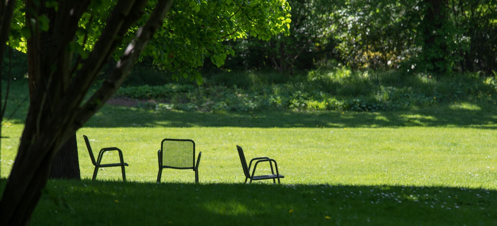 Pentax K-3 + Tamron SP AF 70-200mm F2.8 Di LD (IF) MACRO sample photo. Grass, rest, chair photography
