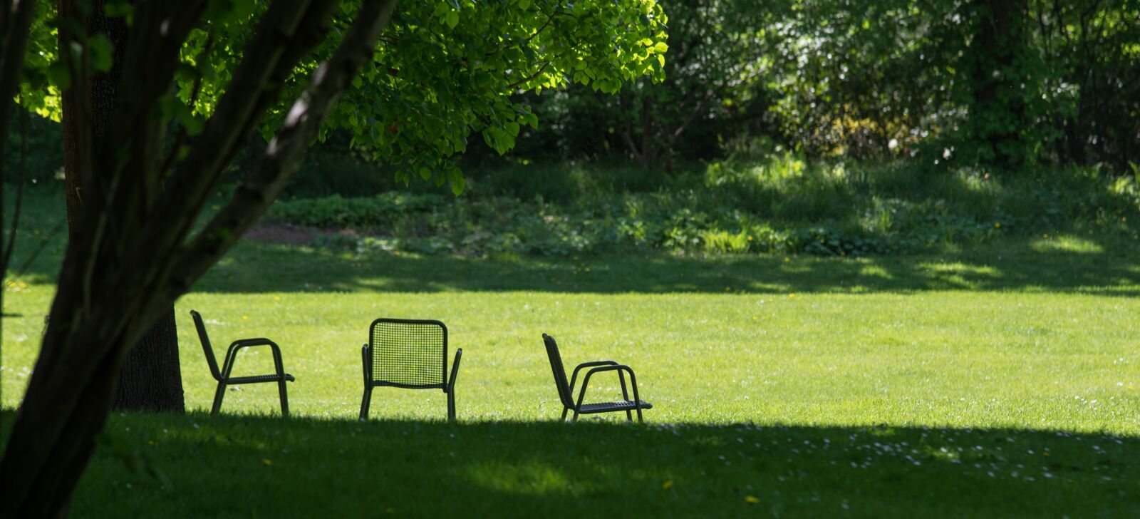 Pentax K-3 sample photo. Grass, rest, chair photography