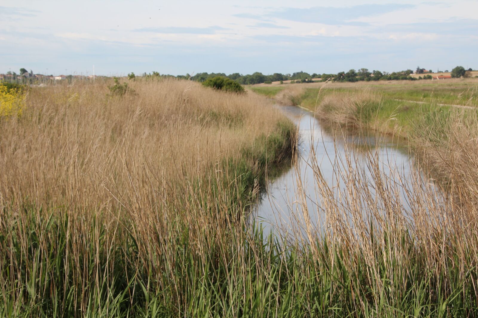 Canon EOS 600D (Rebel EOS T3i / EOS Kiss X5) sample photo. Marais poitevin, marsh, river photography