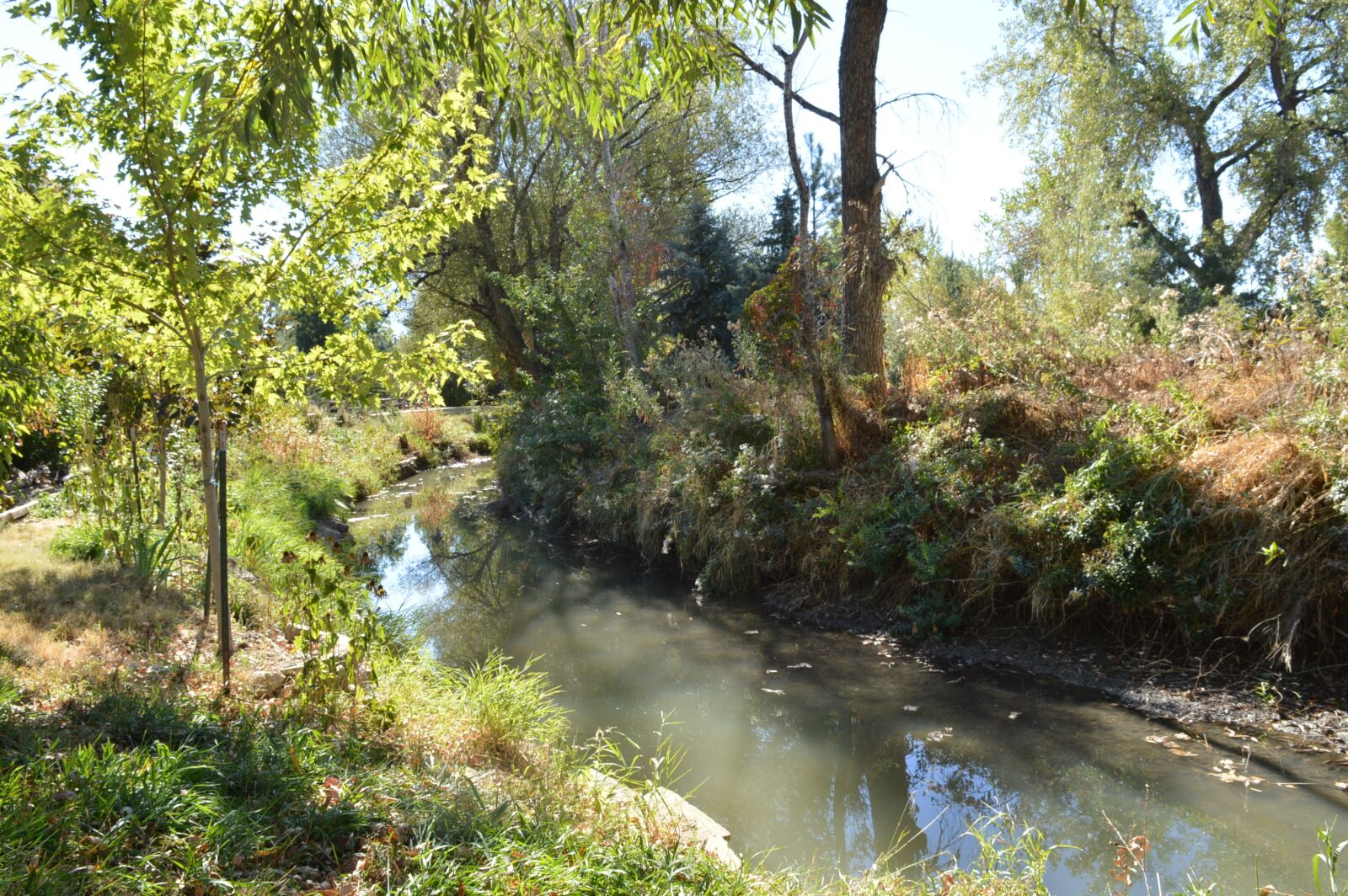 Nikon D3200 sample photo. Creek, water, stream photography