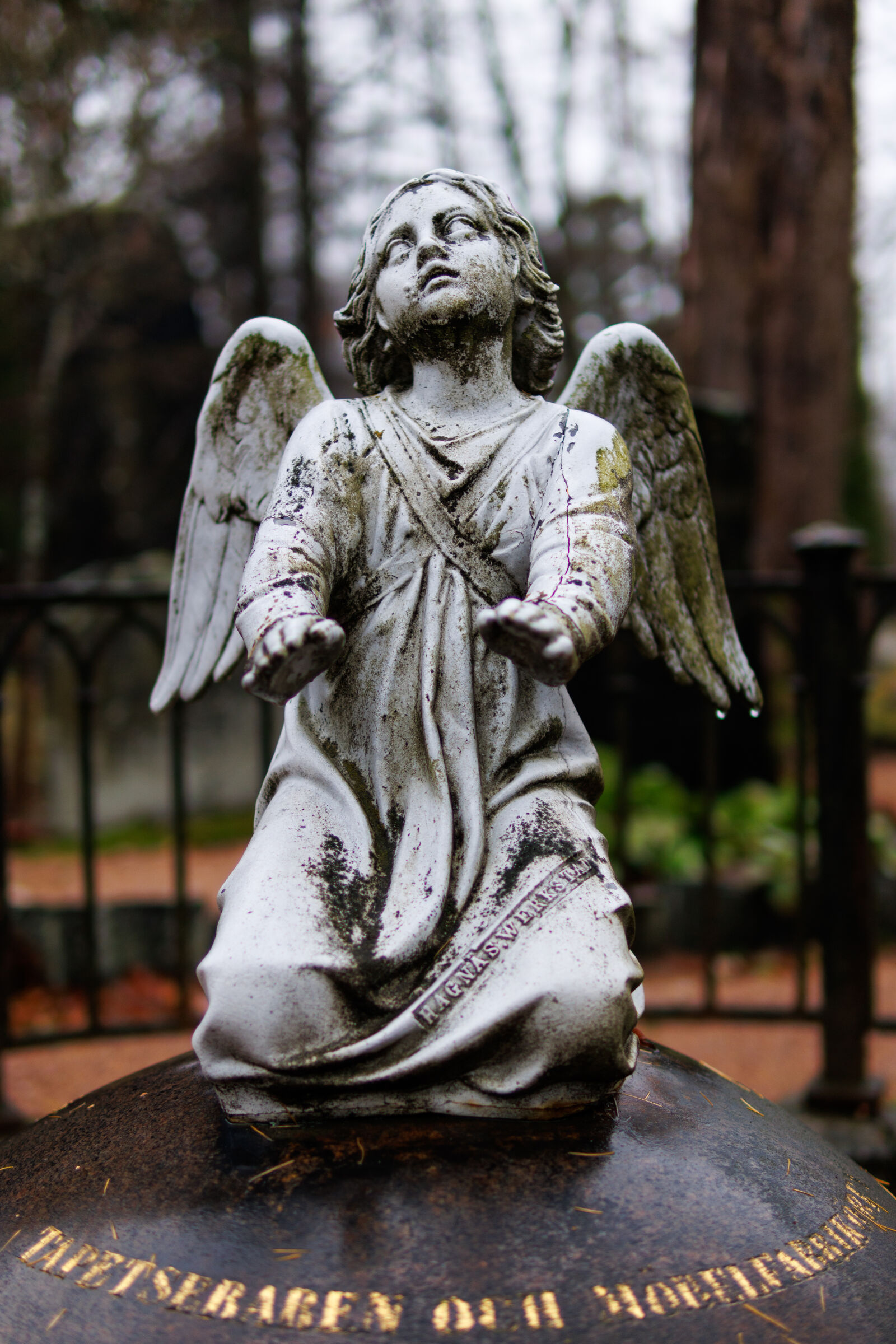 Sigma 30mm F1.4 DC DN | C sample photo. Angel decay photography