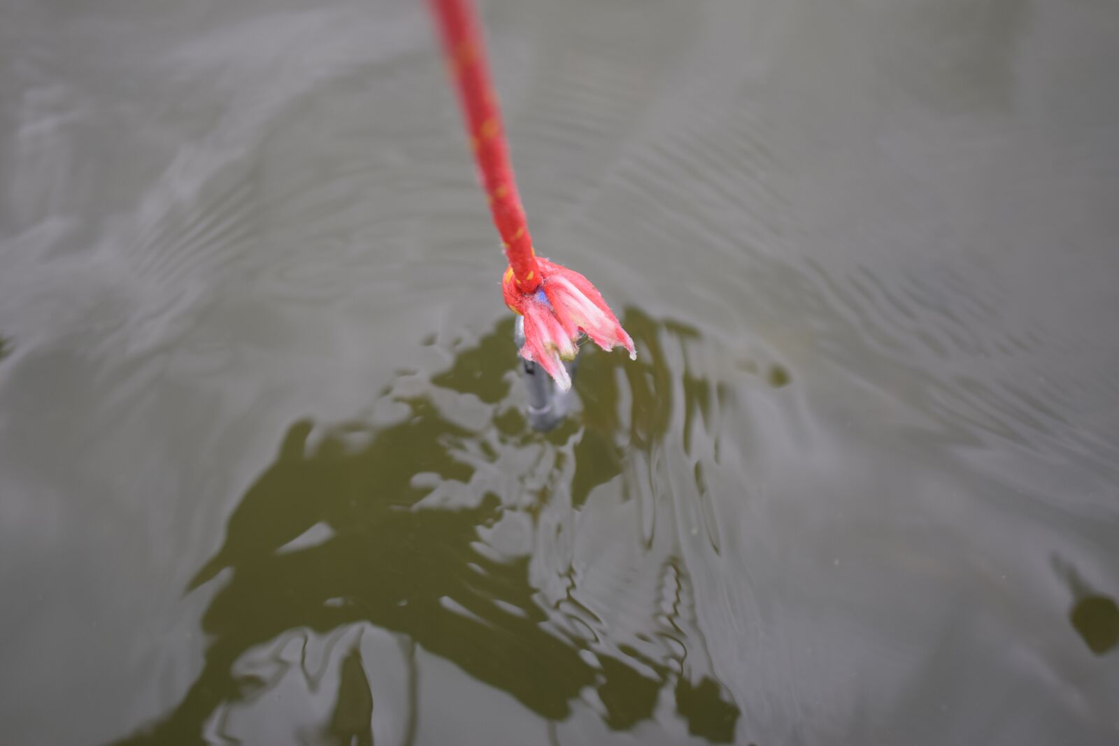 Nikon D5300 sample photo. Water, rope, red photography