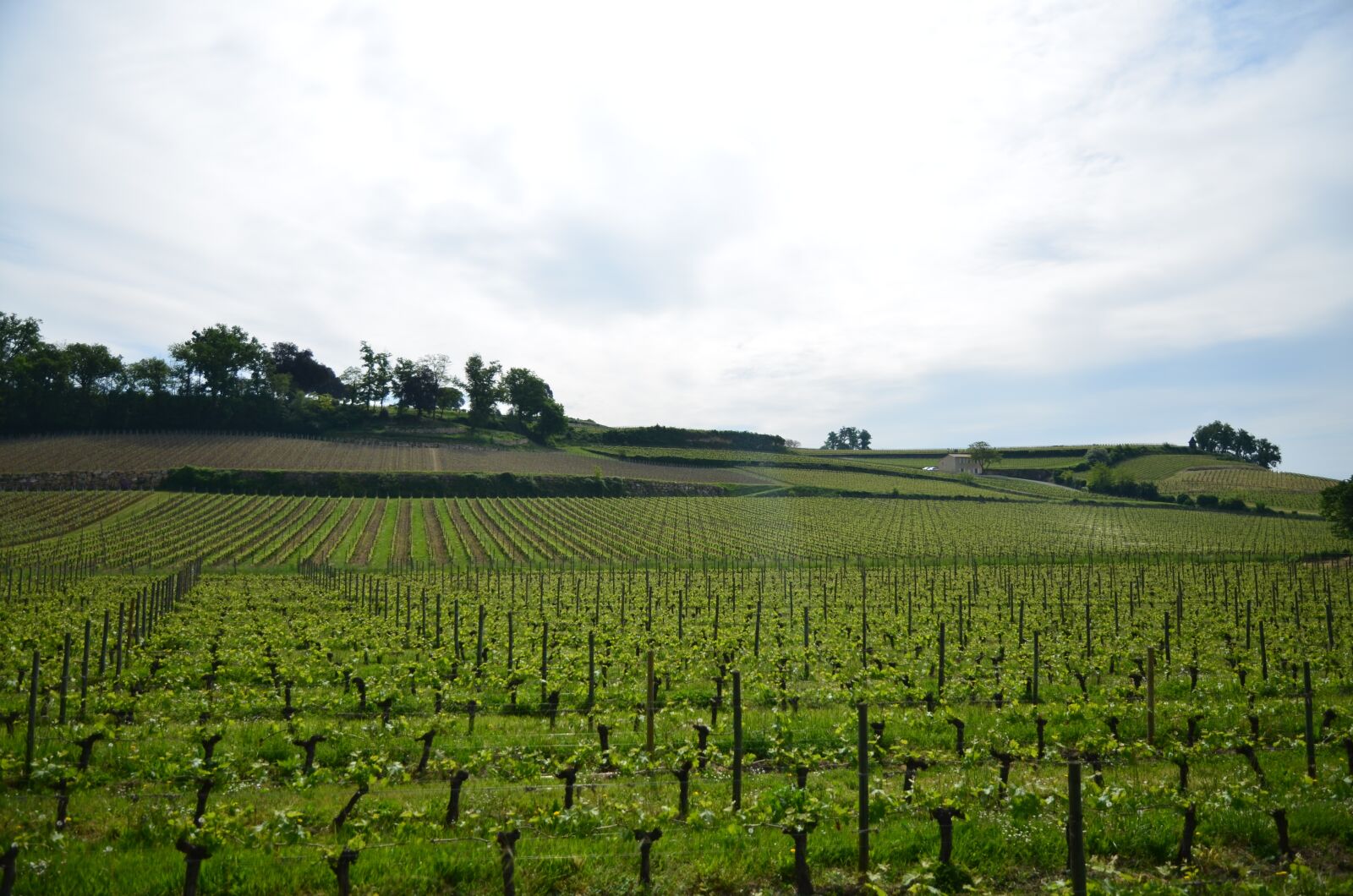 Nikon D7000 sample photo. Bordeaux, city, saint emmilion photography