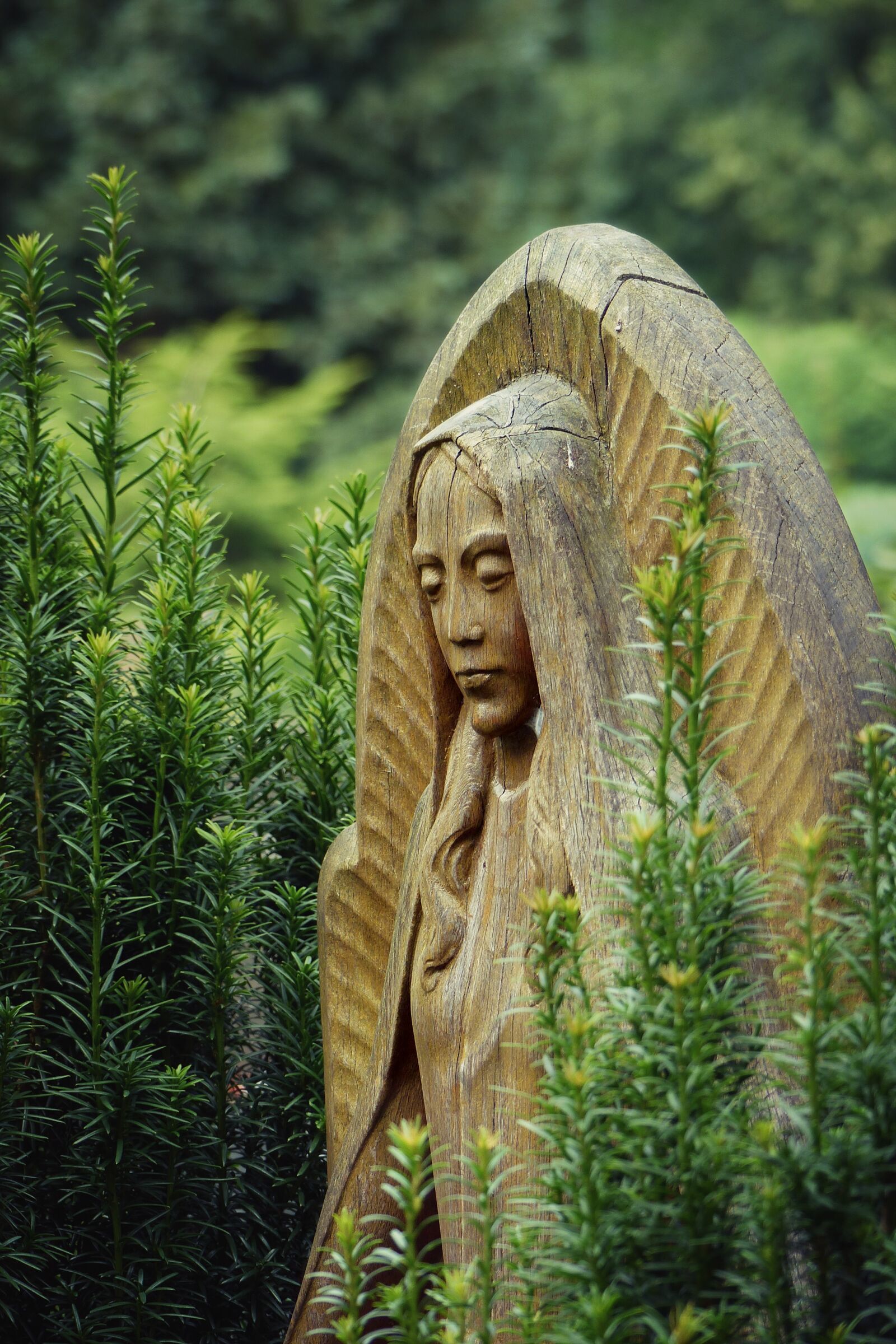 Panasonic Lumix DMC-FZ200 sample photo. Virgin, maria, monument photography