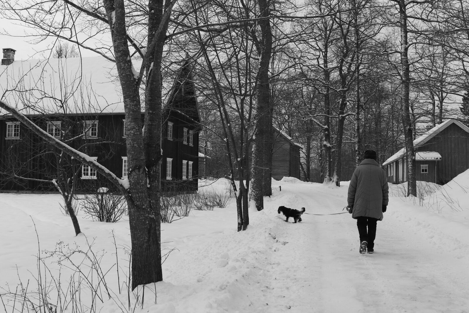 Canon EOS 7D Mark II sample photo. Walking, old building, landscape photography