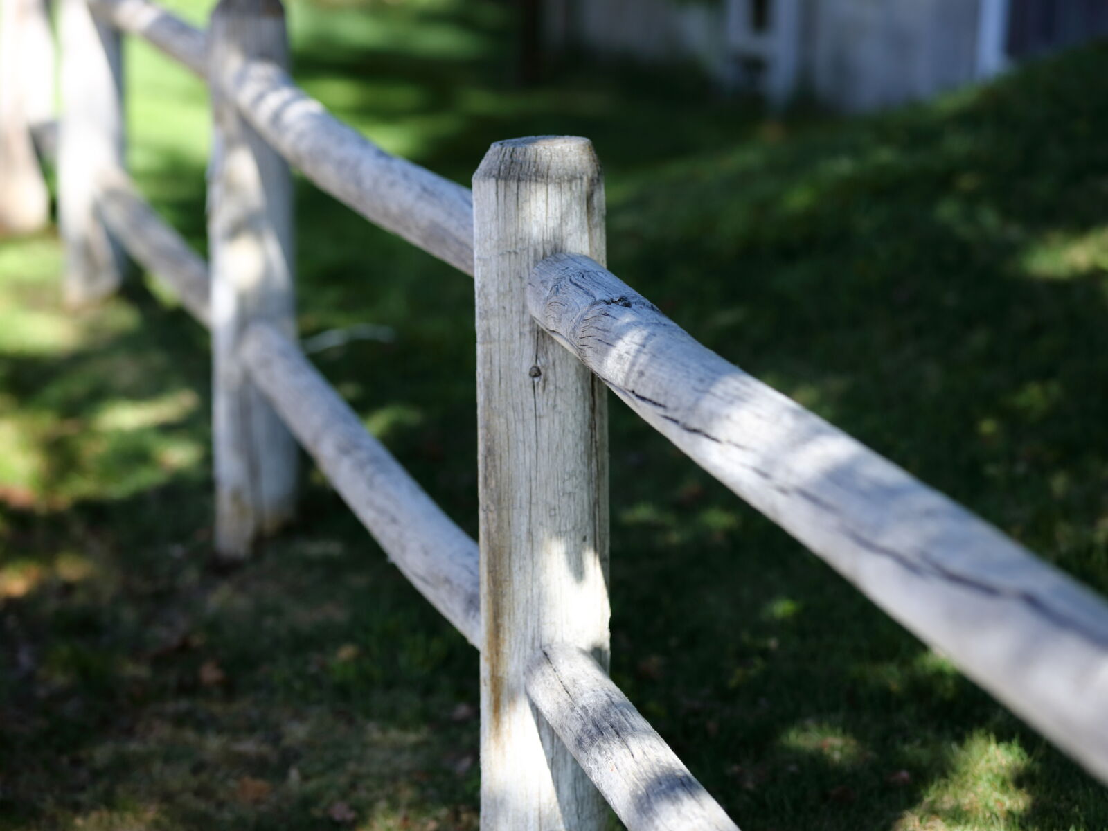 Canon EOS 5D Mark III sample photo. Wood, fence photography