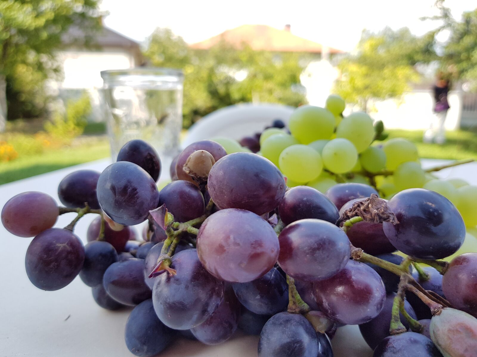 Samsung Galaxy S8 sample photo. Grapes, purple, vineyard photography