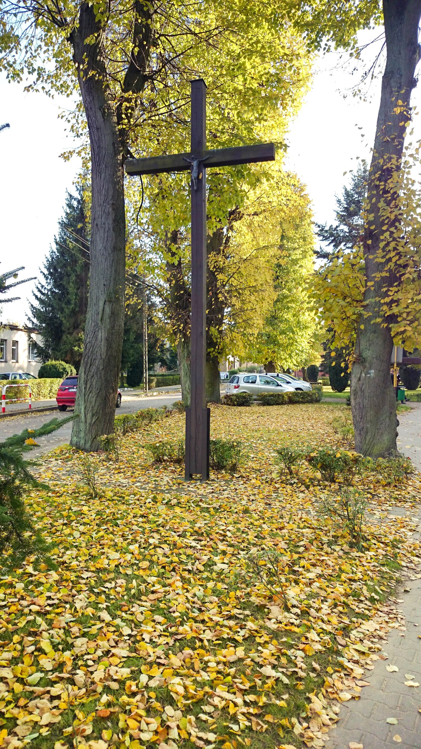 Sony Xperia Z1 Compact sample photo. Autumn, cross, in the photography
