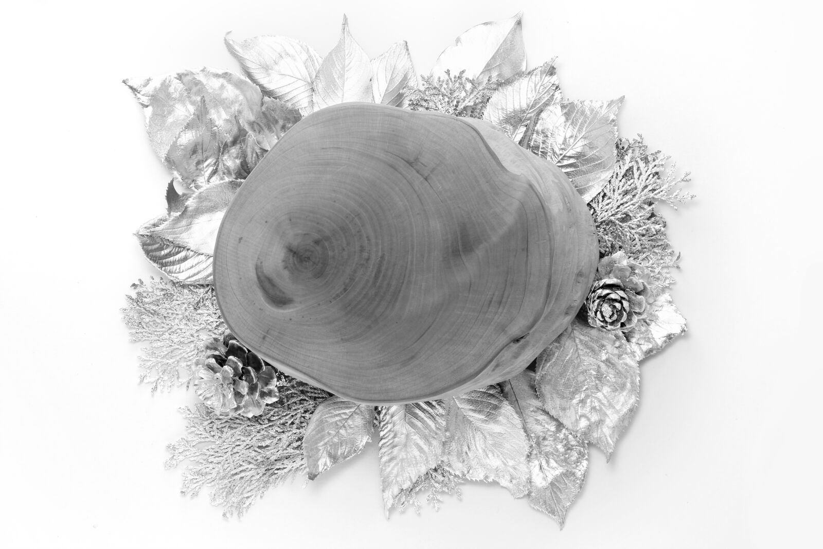Canon EOS 550D (EOS Rebel T2i / EOS Kiss X4) sample photo. Winter, christmas, silver photography