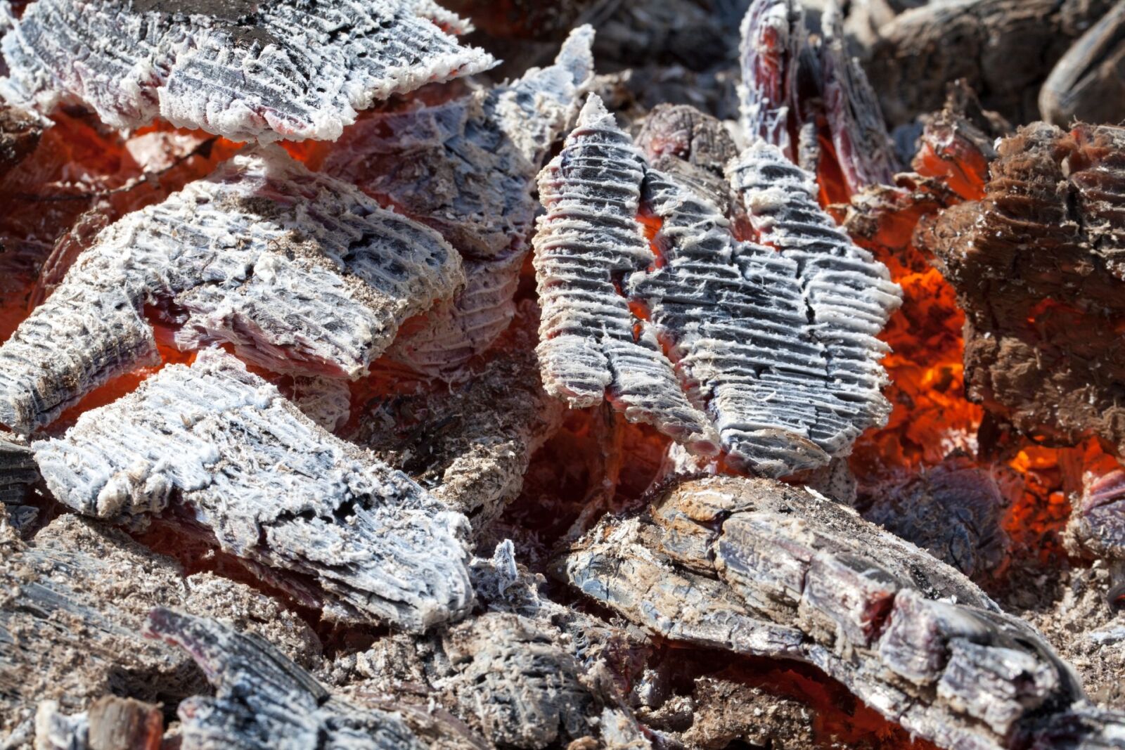 Canon EOS 5D Mark II sample photo. Abstract, ash, background, black photography