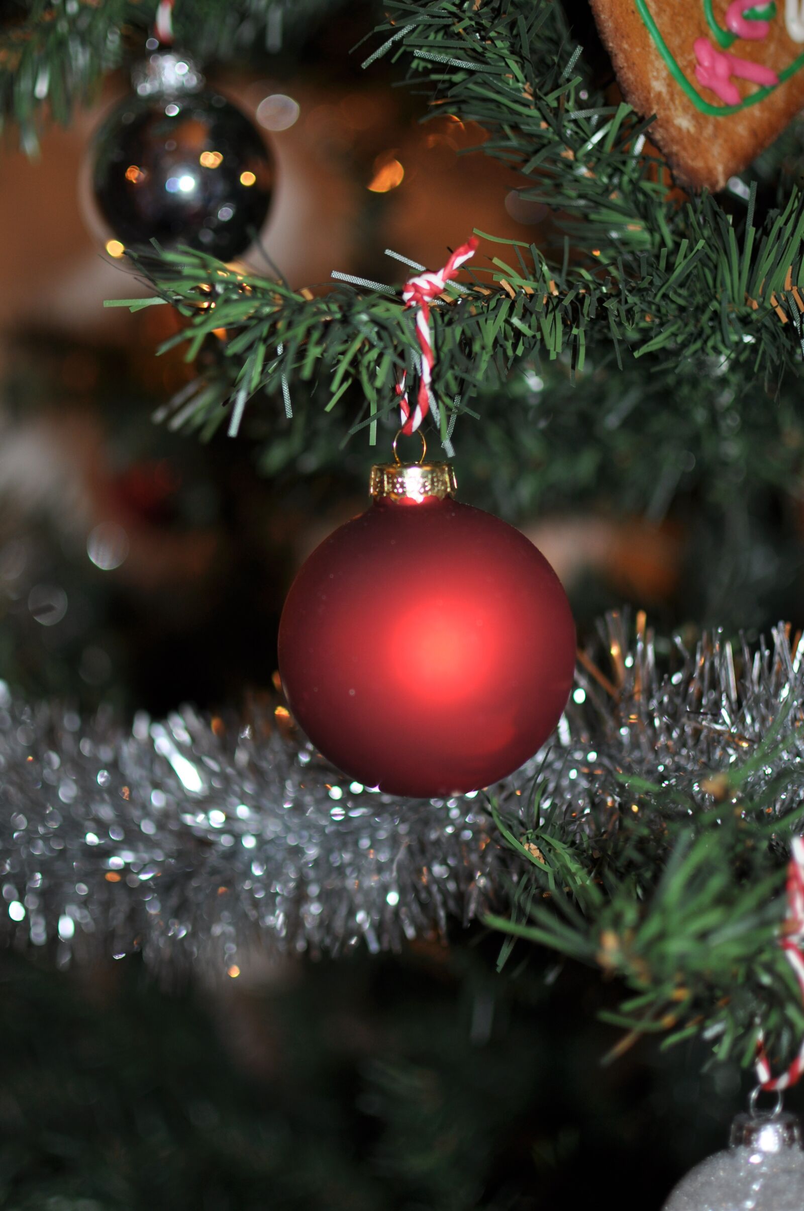 Nikon D5000 sample photo. Julkula, gran, christmas photography