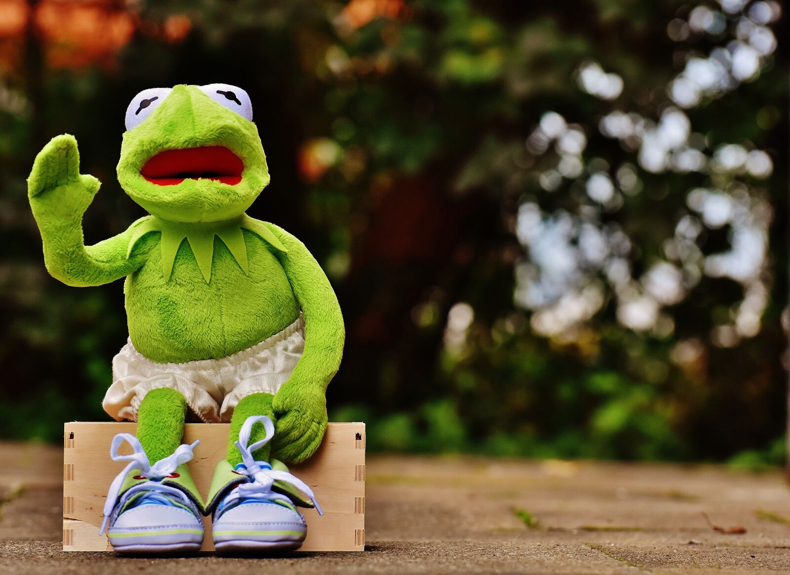 Nikon D7200 sample photo. Kermit, sit, bank photography