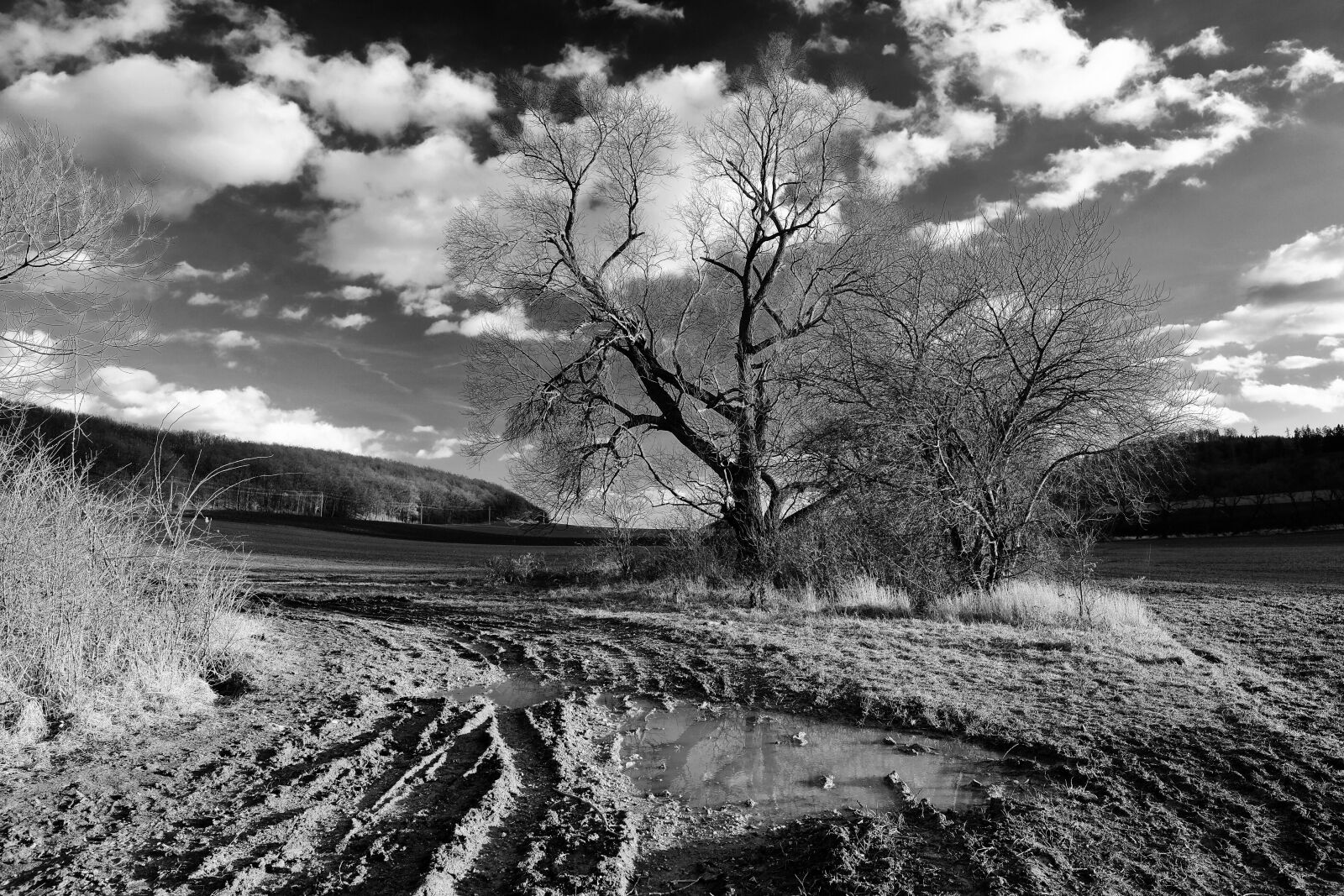 Fujifilm XF 16mm F1.4 R WR sample photo. Landscape, clouds, field photography