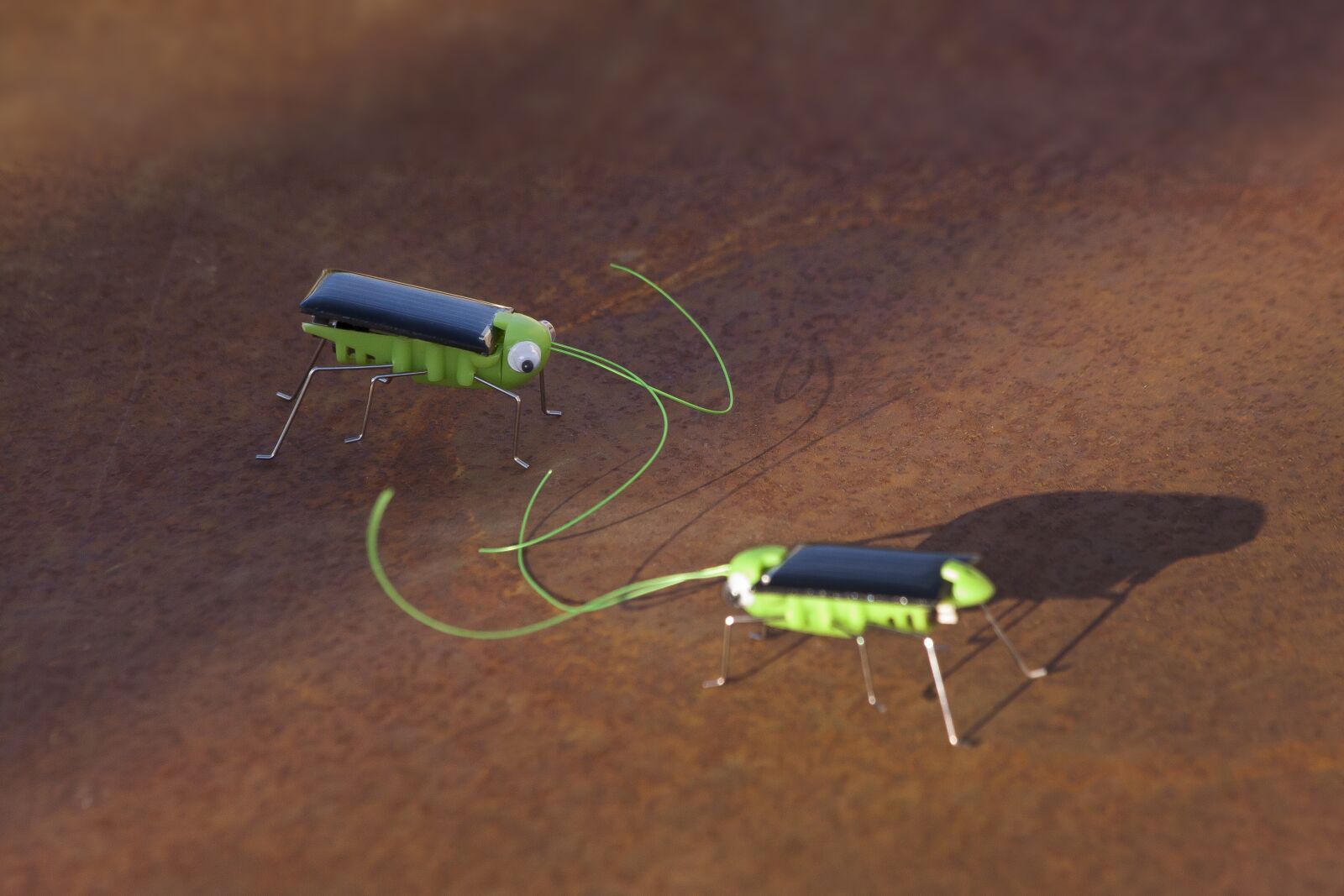 Canon EOS 50D sample photo. Beetle, toys, photovoltaic photography