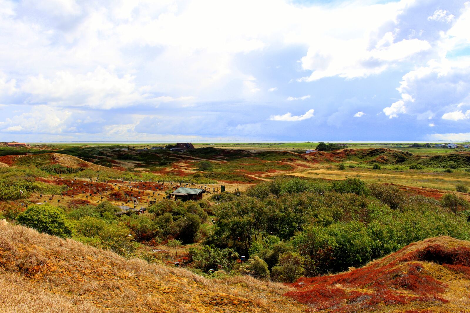 Canon EOS 700D (EOS Rebel T5i / EOS Kiss X7i) sample photo. Langeoog, island, east frisia photography
