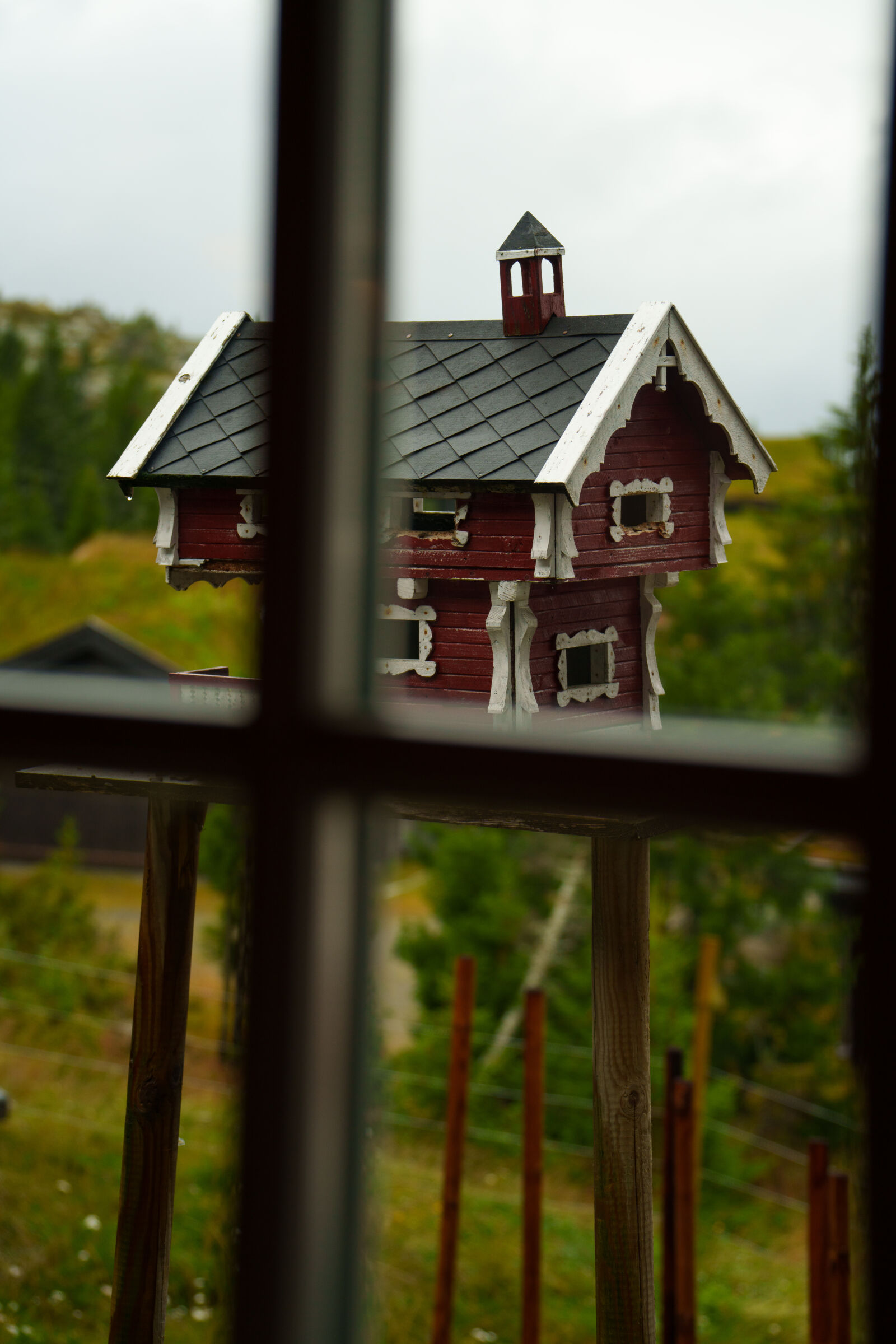 Sony a7R V sample photo. The tele view photography