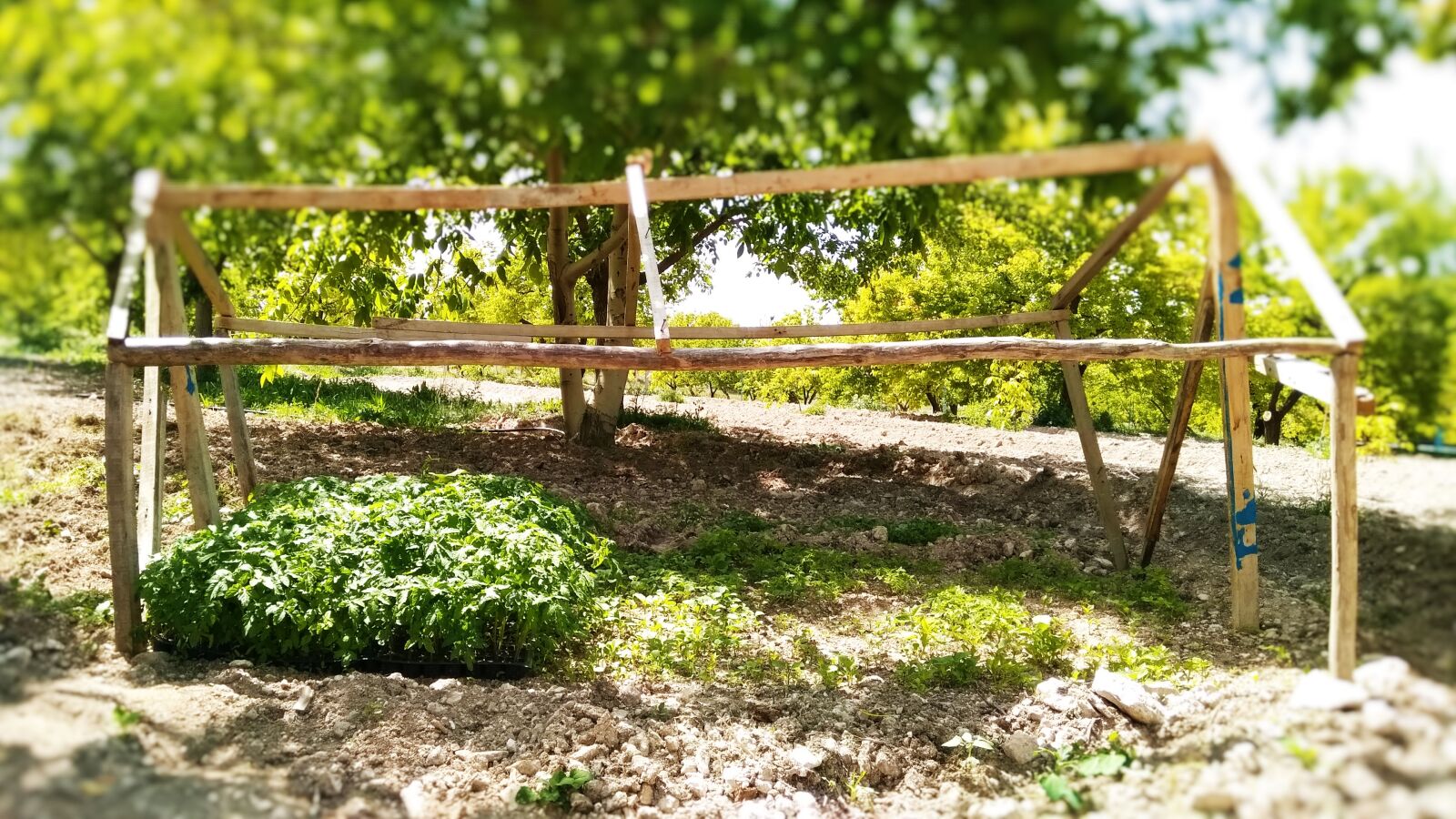 General Mobile GM 5 Plus sample photo
