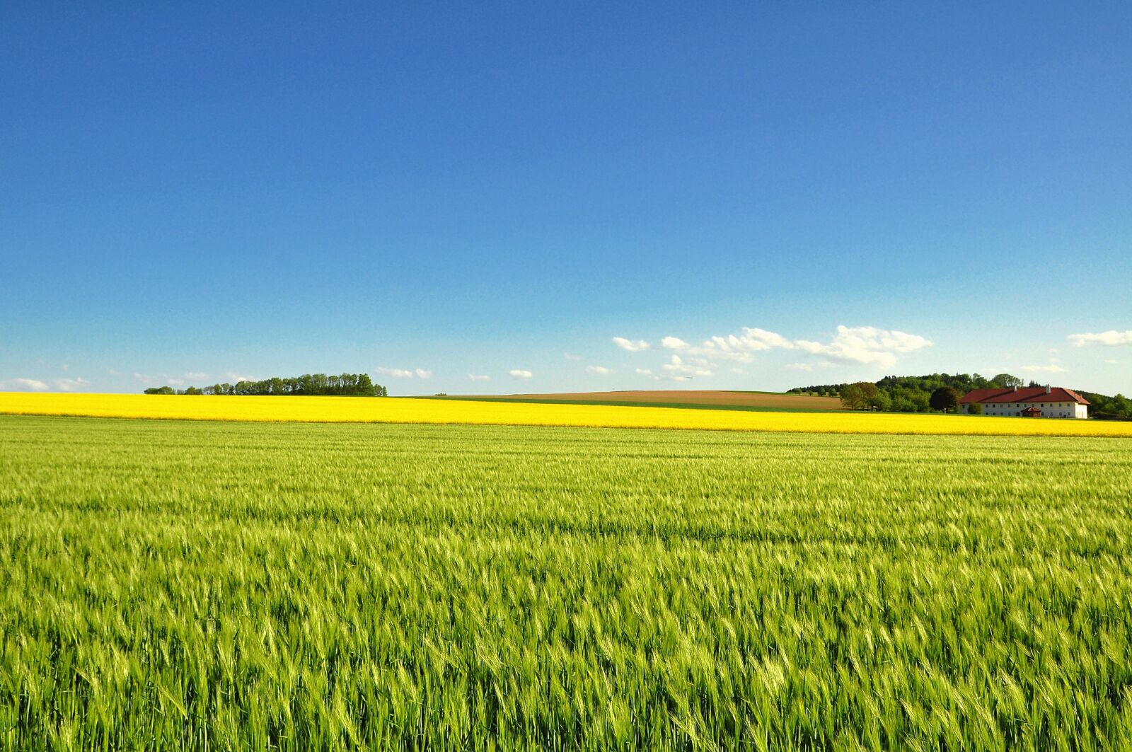 Nikon D90 sample photo. Field, agriculture, farm photography