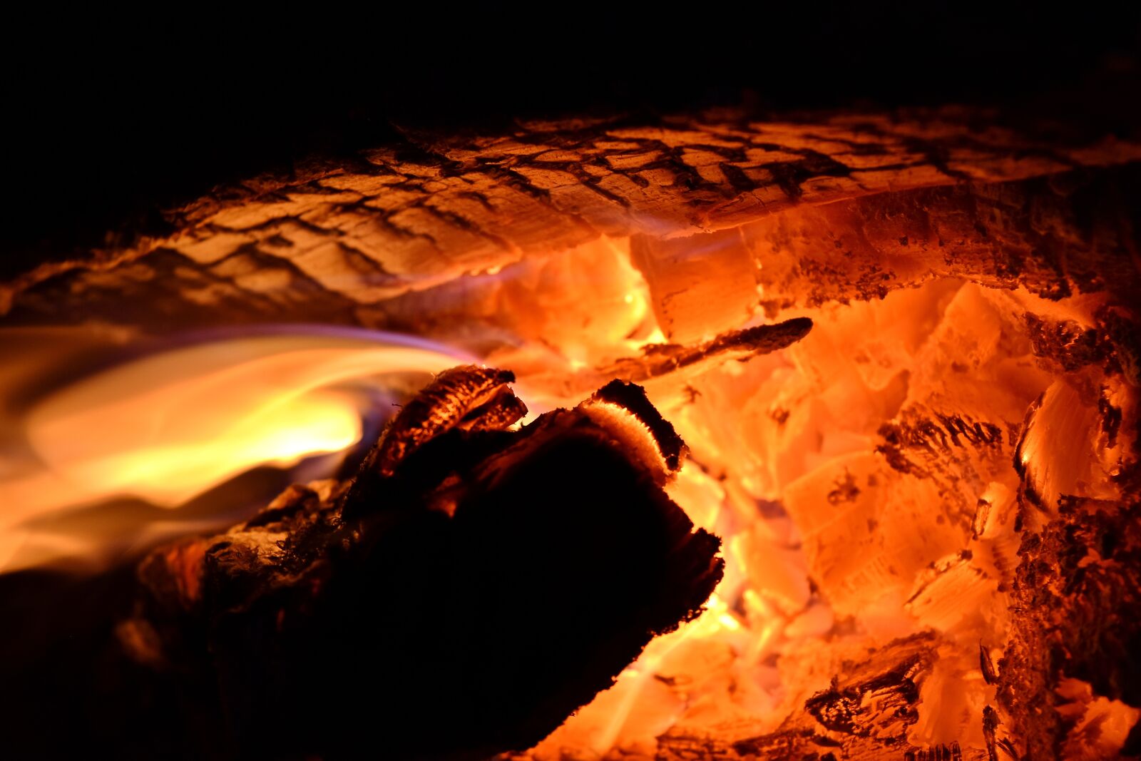 Nikon D5500 sample photo. Burning, fire, firewood, flames photography