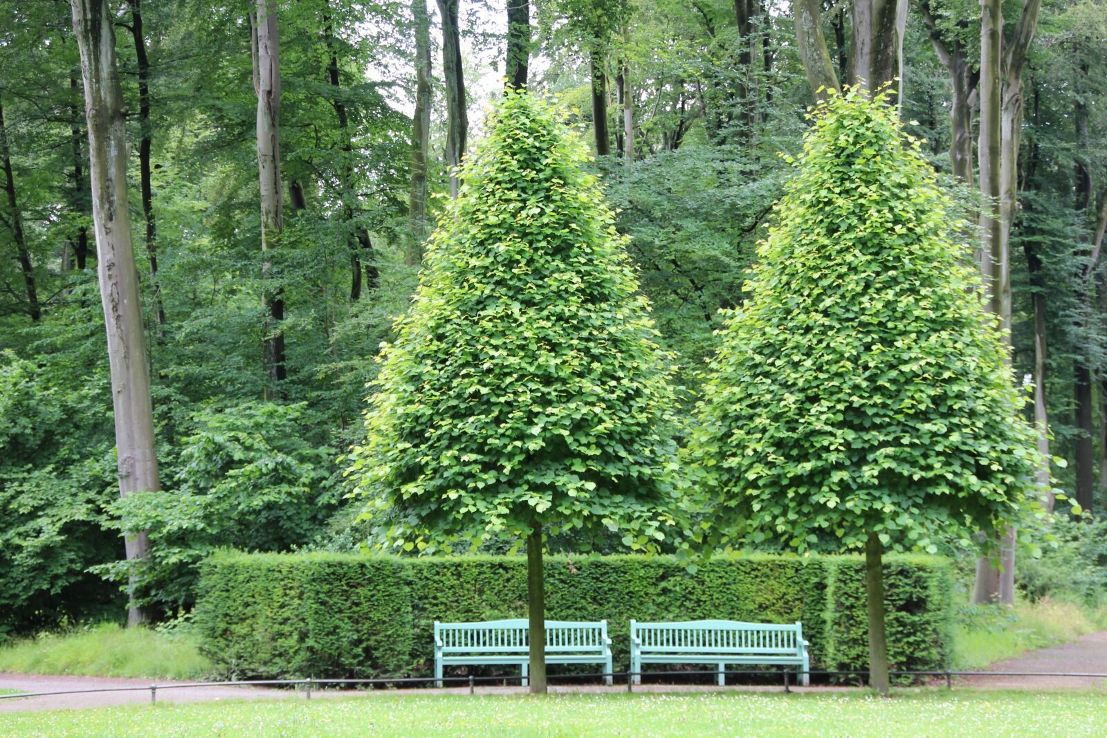 Canon EOS 600D (Rebel EOS T3i / EOS Kiss X5) sample photo. Castle park, schlossgarten, bank photography