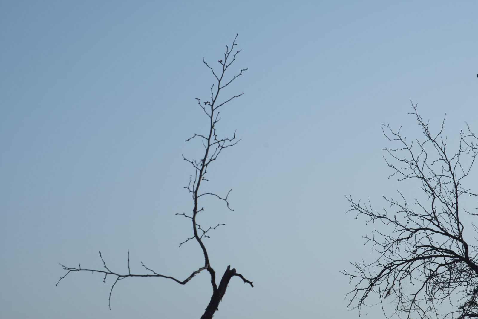 Nikon D7200 sample photo. Abstrakt, abstract, surreal photography