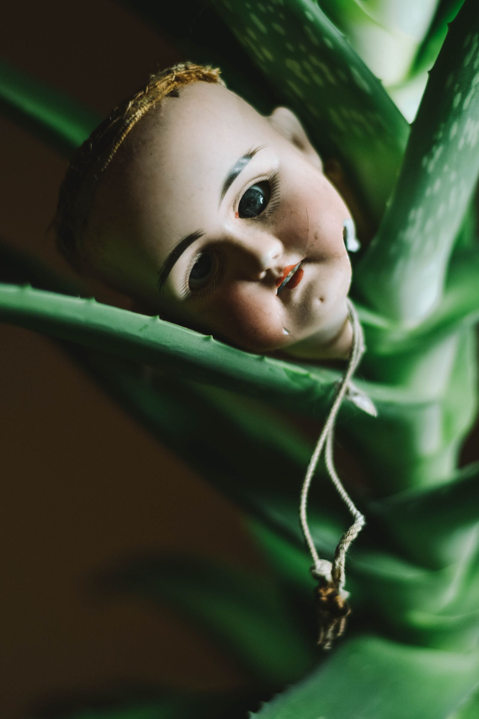 Nikon D3100 sample photo. Doll, doll head, halloween photography