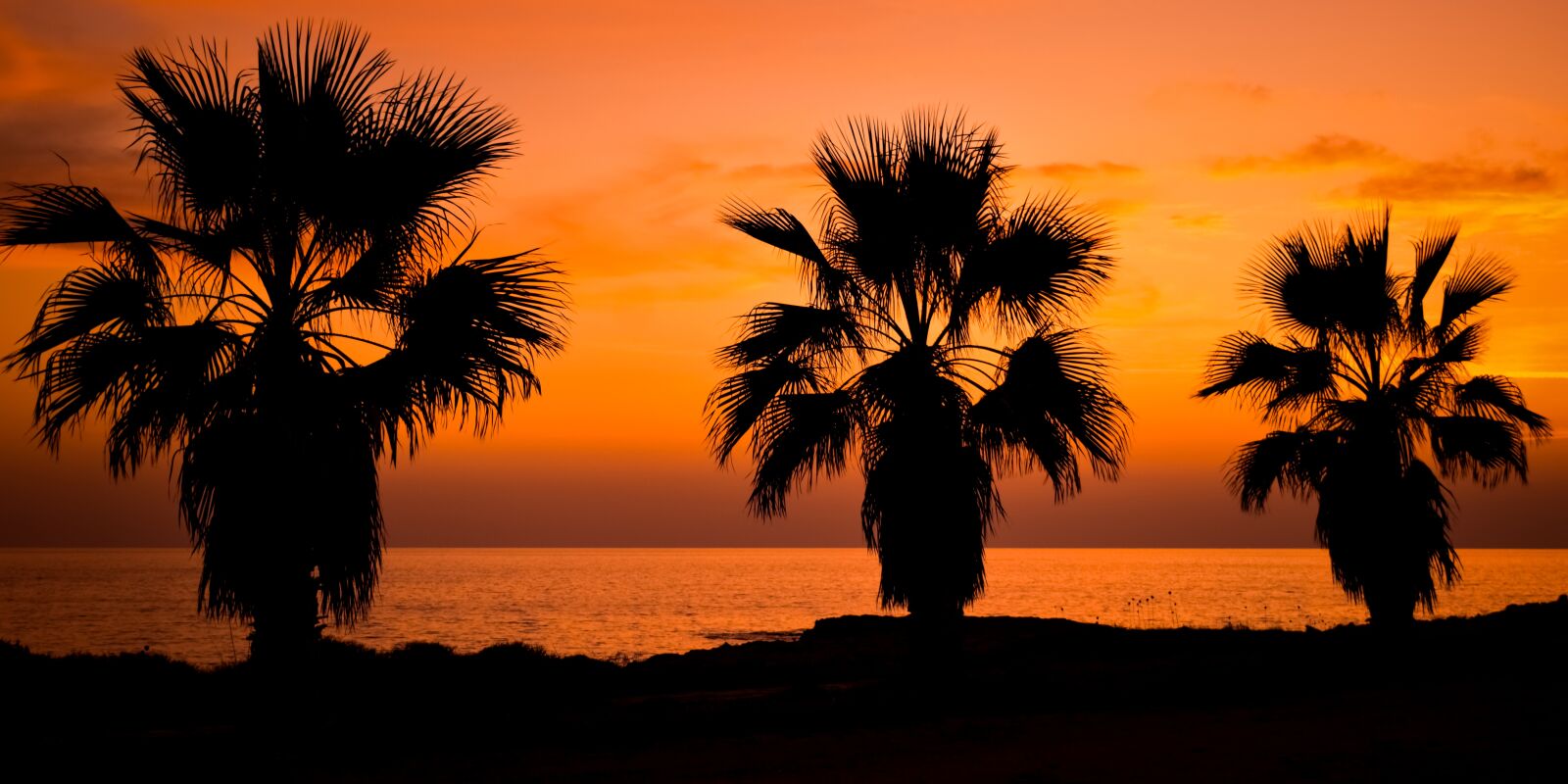 Nikon D3300 sample photo. Palm trees, seaside, sunset photography